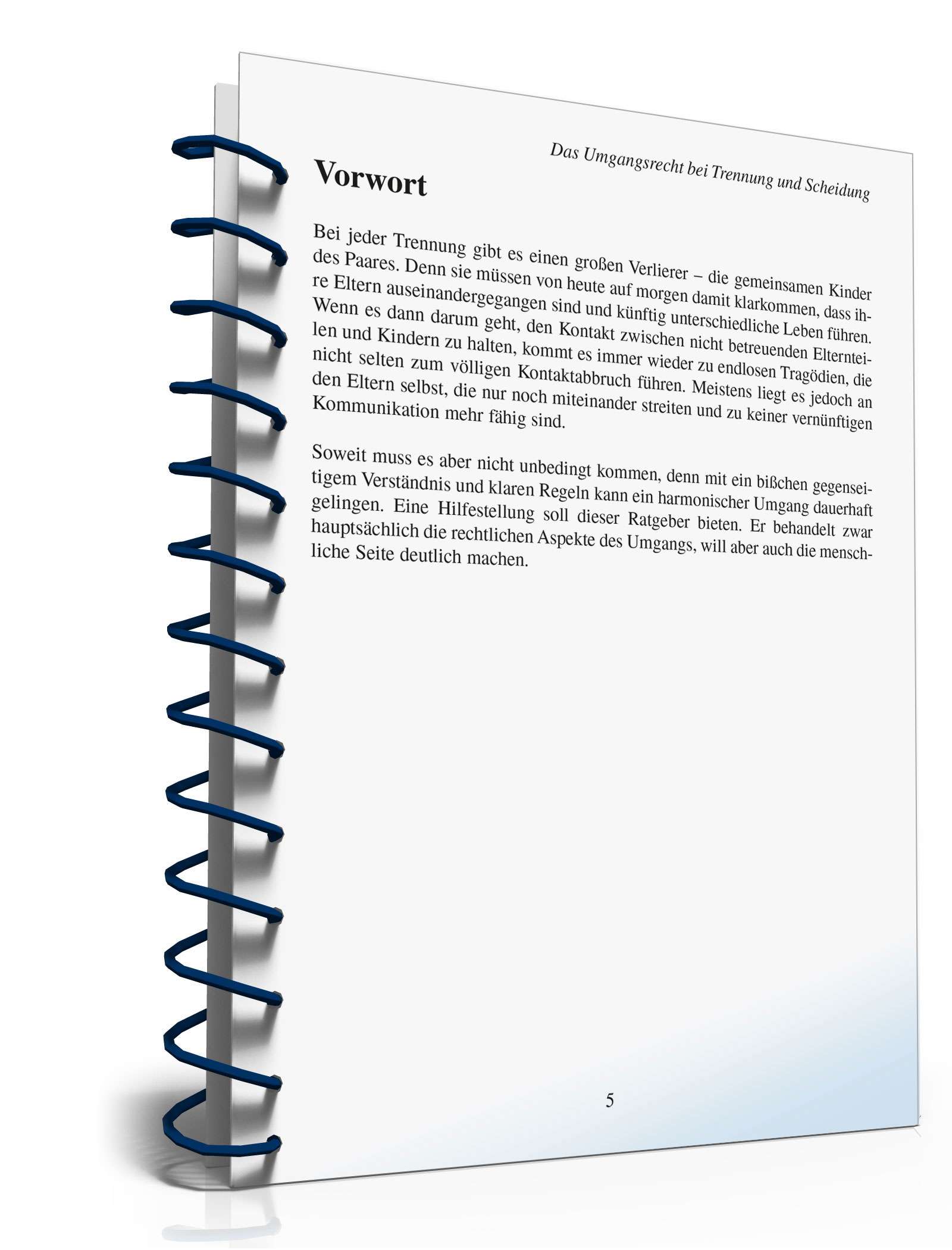 Ratgeber Umgangsrecht Trennung/Scheidung PDF. Seite: 4