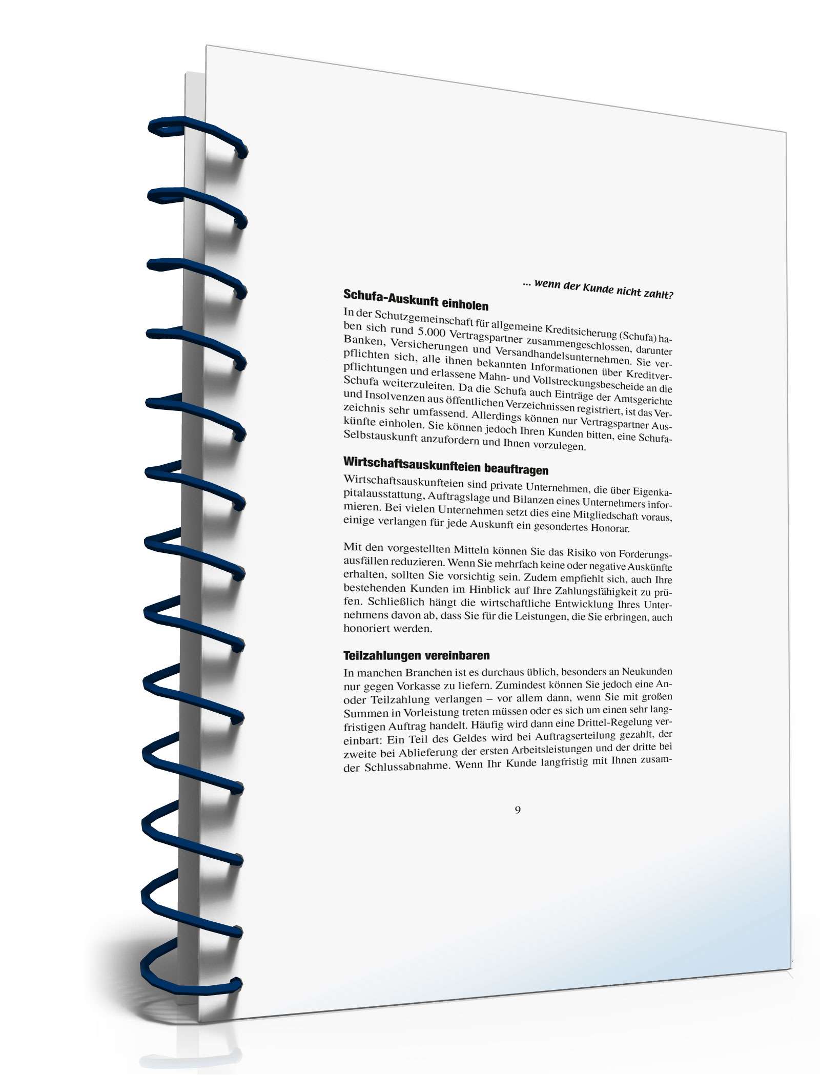 Ratgeber zahlungsunwilliger Kunde PDF. Seite: 9