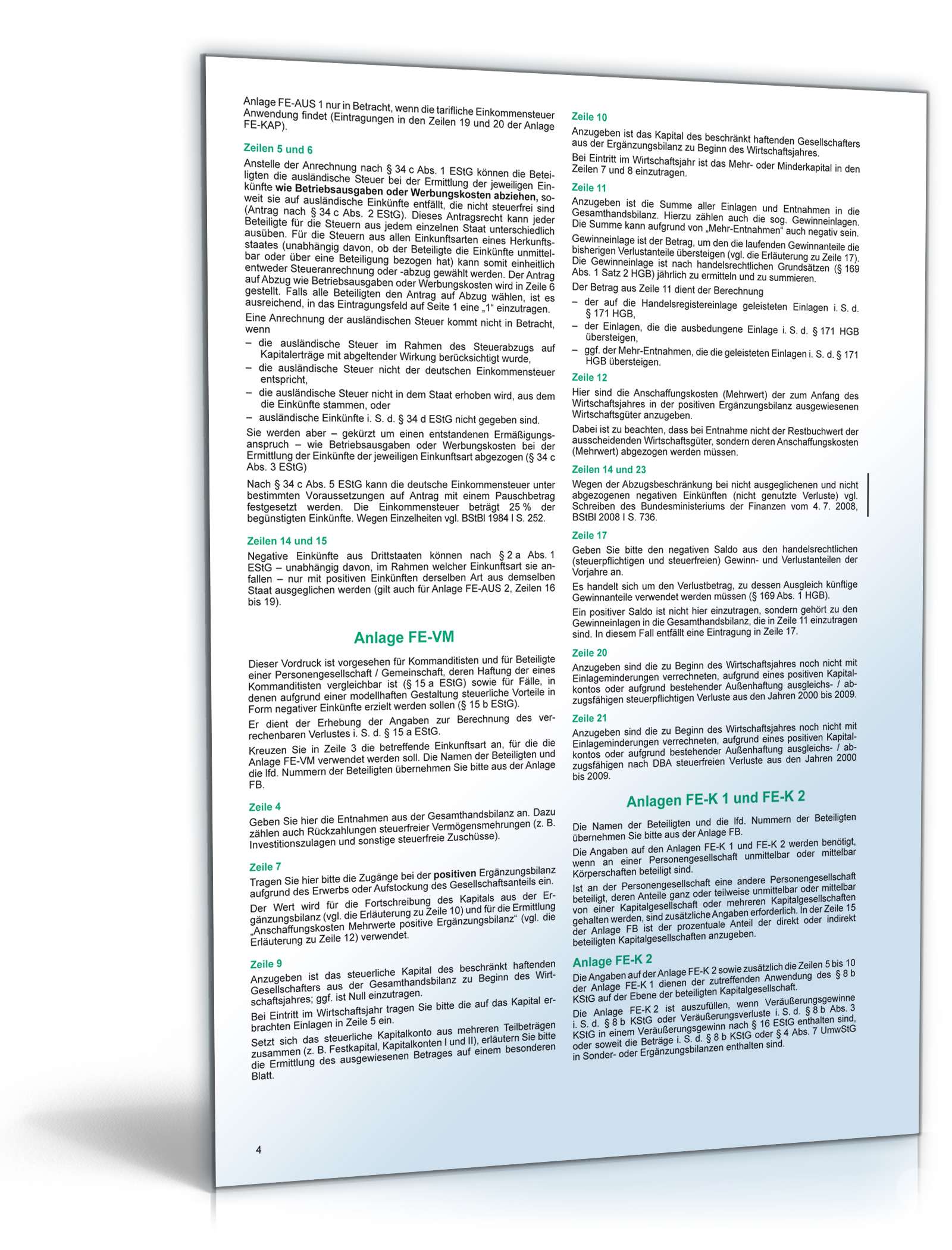 Anleitung Feststellung Einkommensbesteuerung/Eigenheimzulage 2010 PDF. Seite: 4