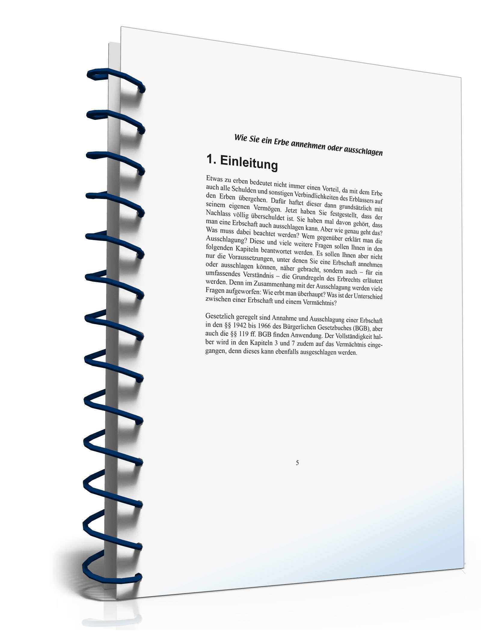 Ratgeber Annehmen/Ausschlagen Erbe  PDF. Seite: 5