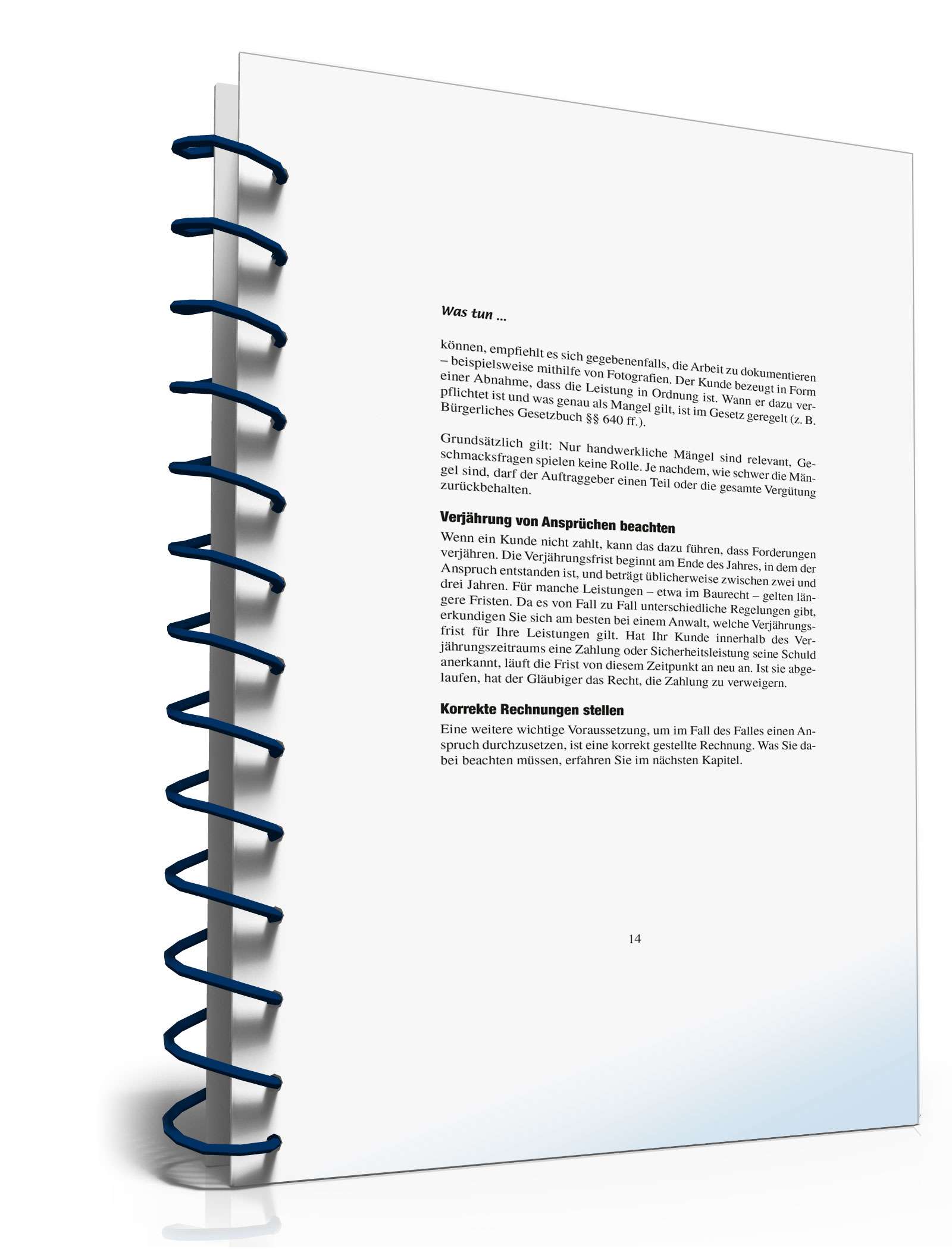 Ratgeber zahlungsunwilliger Kunde PDF. Seite: 14