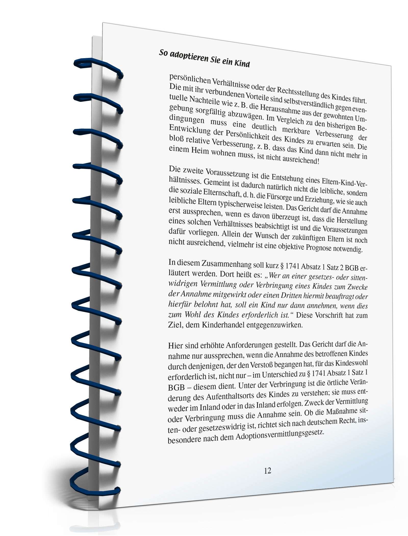 Ratgeber Adoption PDF. Seite: 11