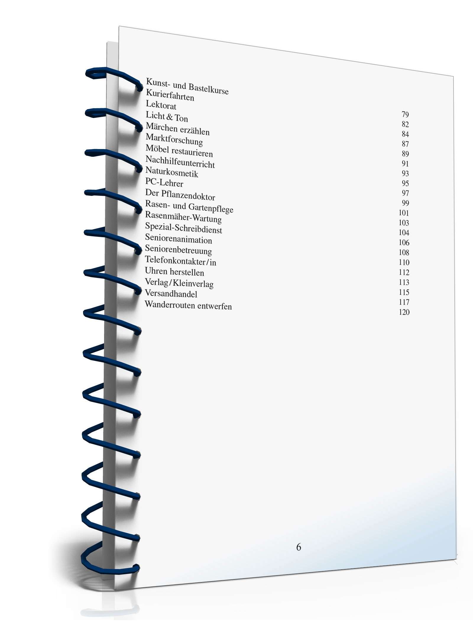 Zusatzverdienst-Ideen PDF. Seite: 7