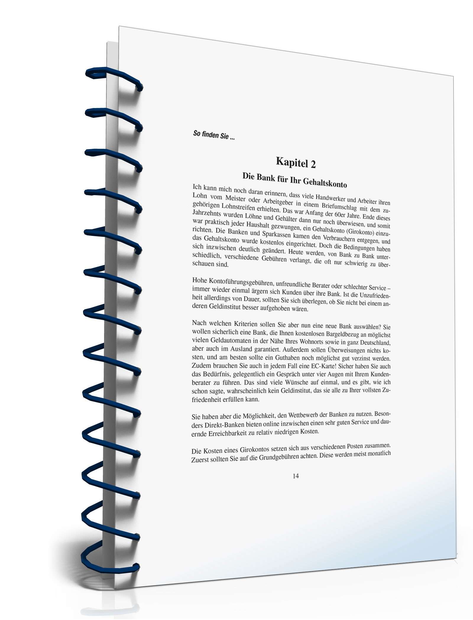 Ratgeber Auswahl Kreditinstitut  PDF. Seite: 12