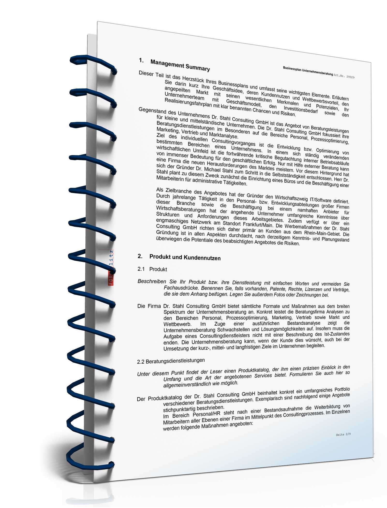 Businessplan Unternehmensberatung Excel. Seite: 7