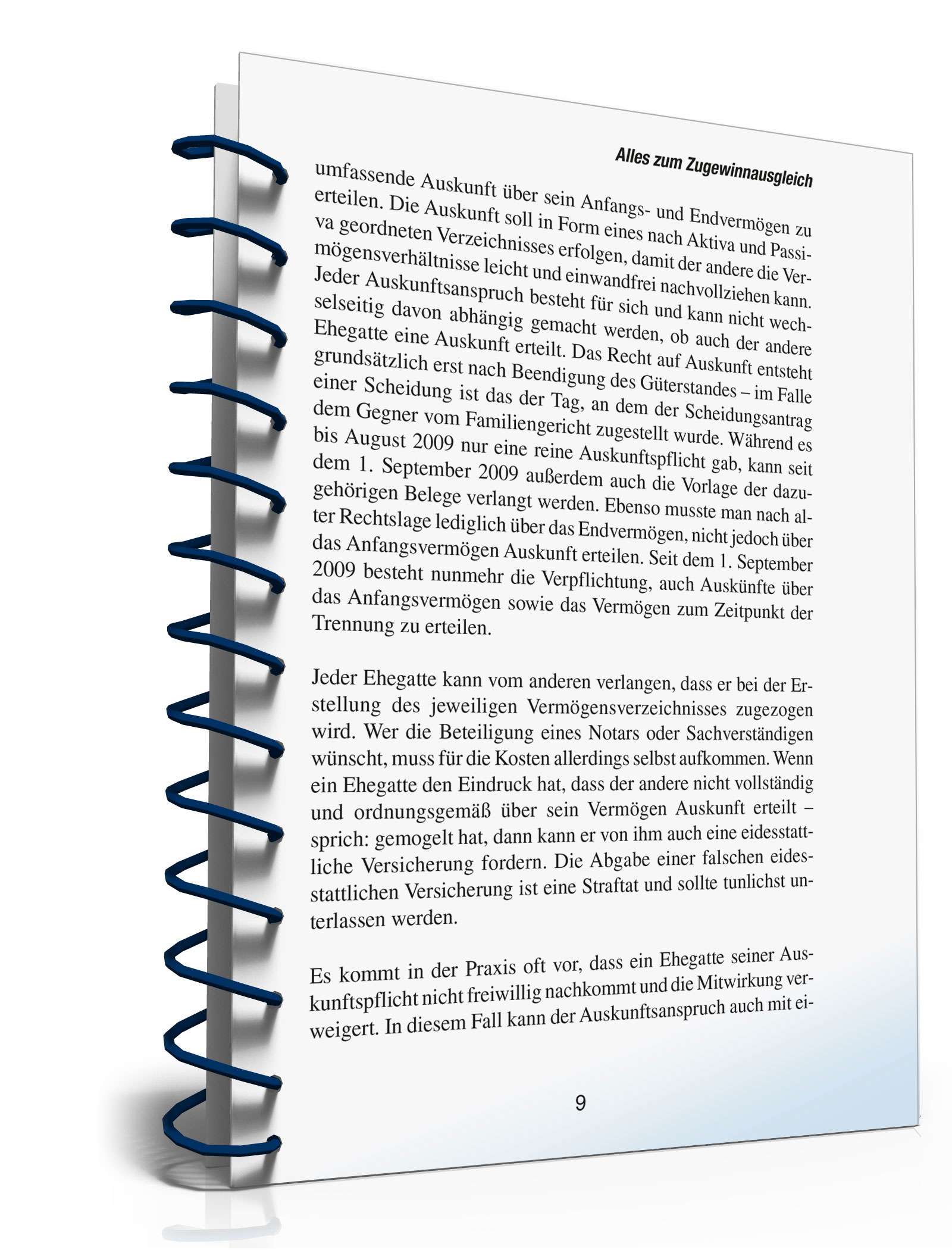 Ratgeber Eheliches Güterrecht PDF. Seite: 8