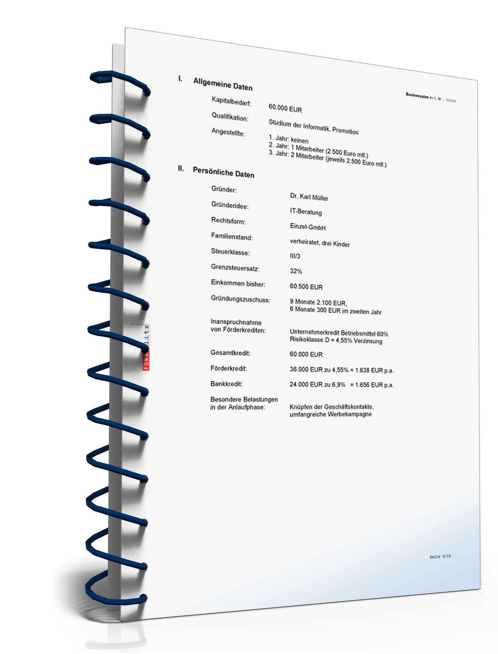 Businessplan IT-Berater Excel. Seite: 6