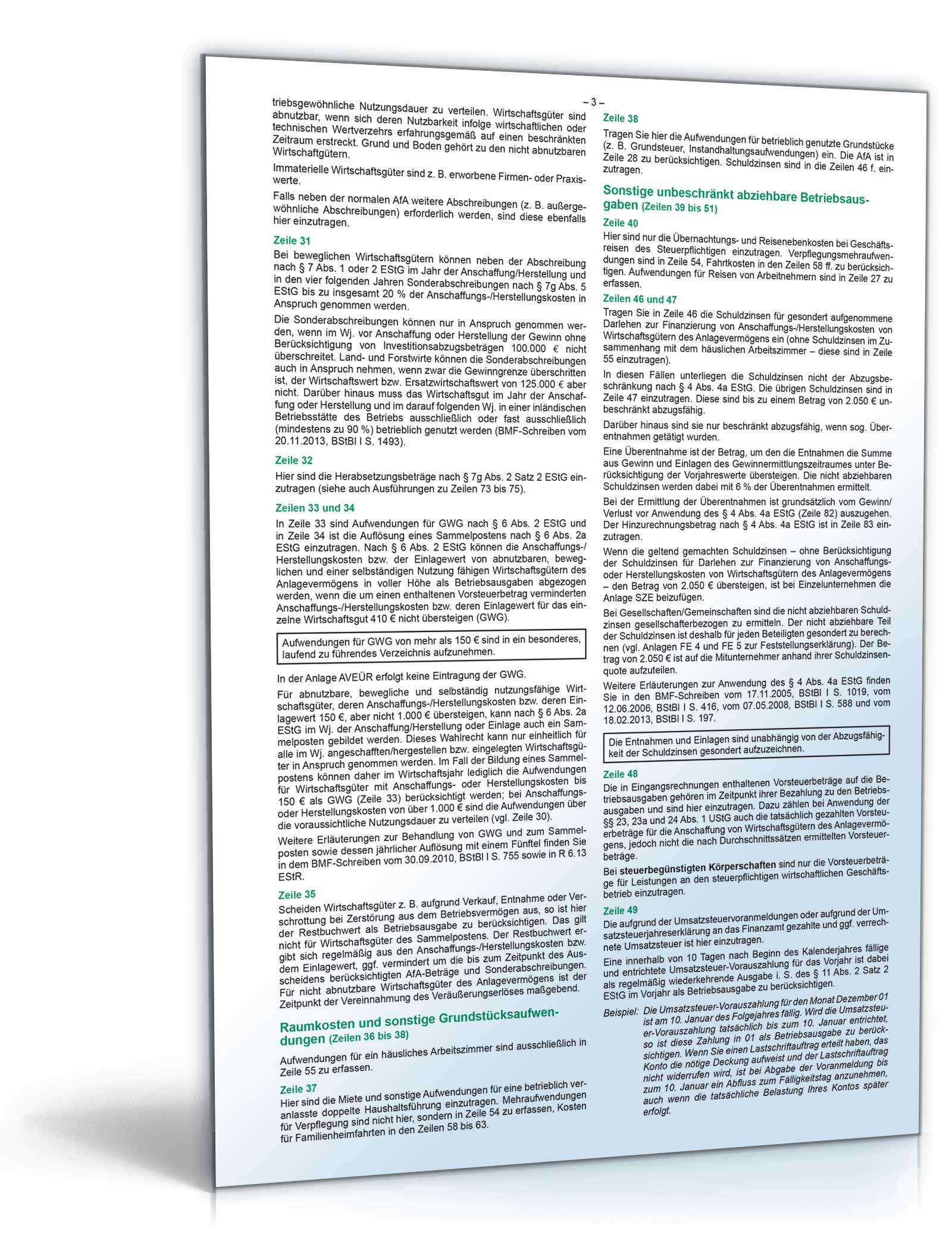 Anleitung für Anlage EÜR 2015 PDF. Seite: 3