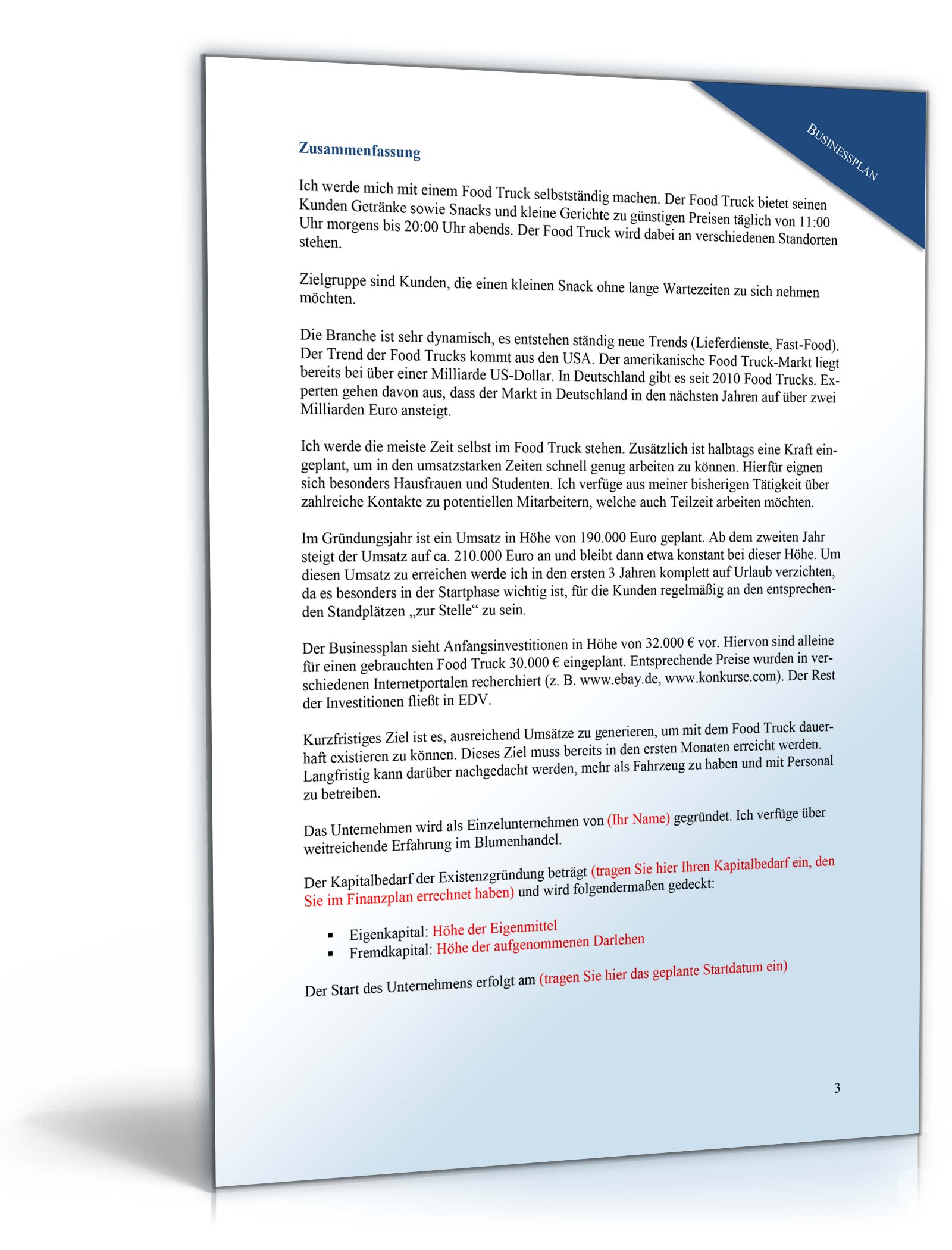 Businessplan Food Truck Excel. Seite: 4