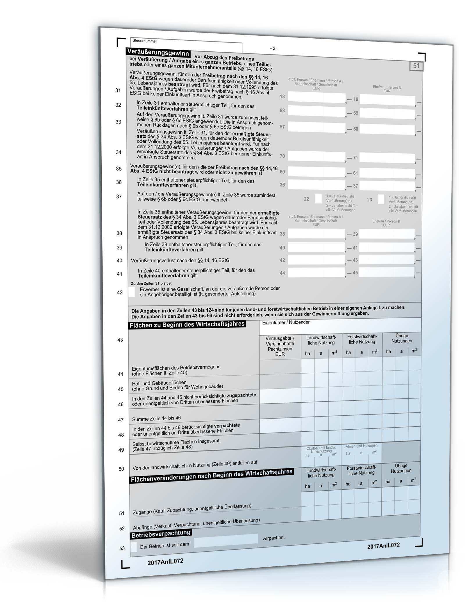 Anlage L 2017 PDF. Seite: 2