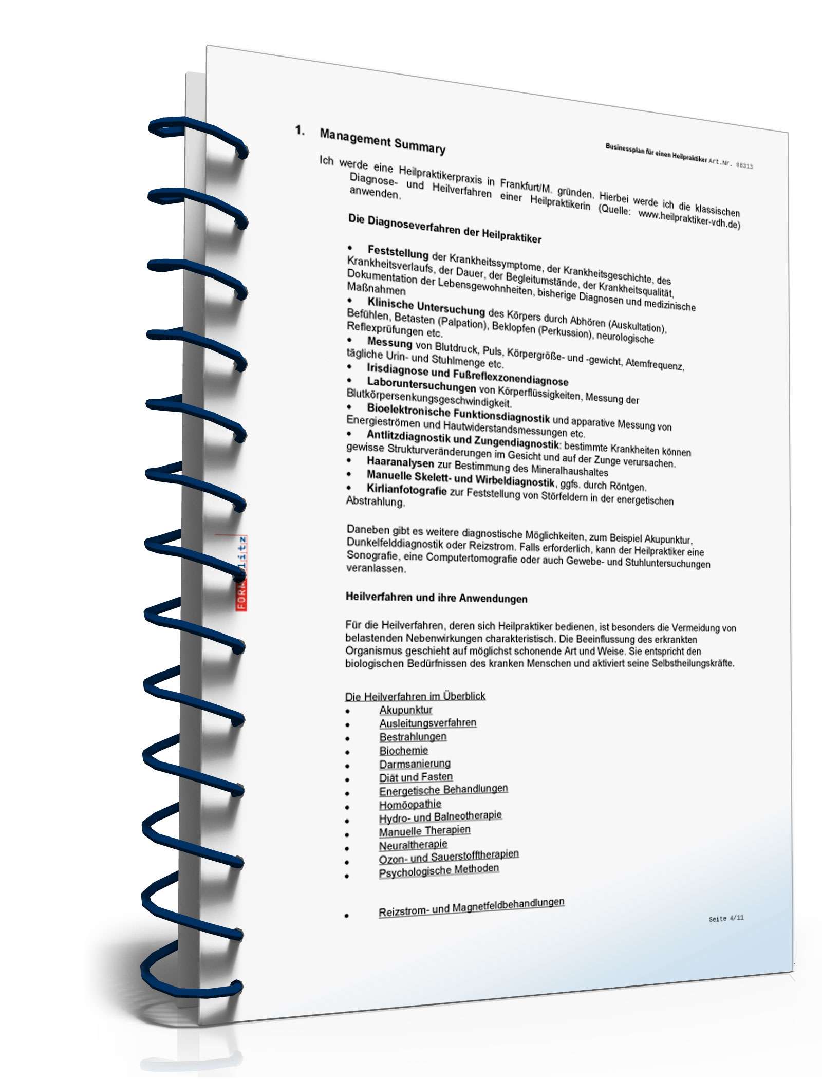 Businessplan Heilpraktiker Excel. Seite: 6