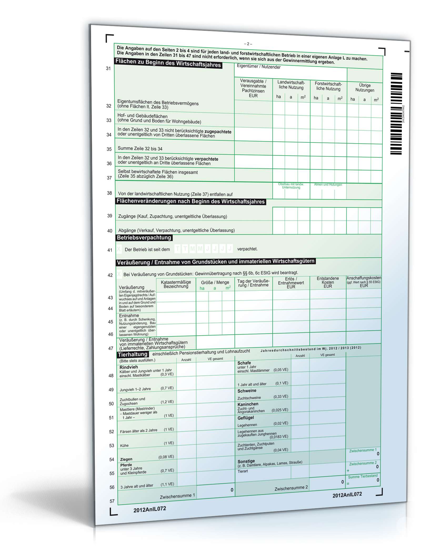 Anlage L 2012 PDF. Seite: 2