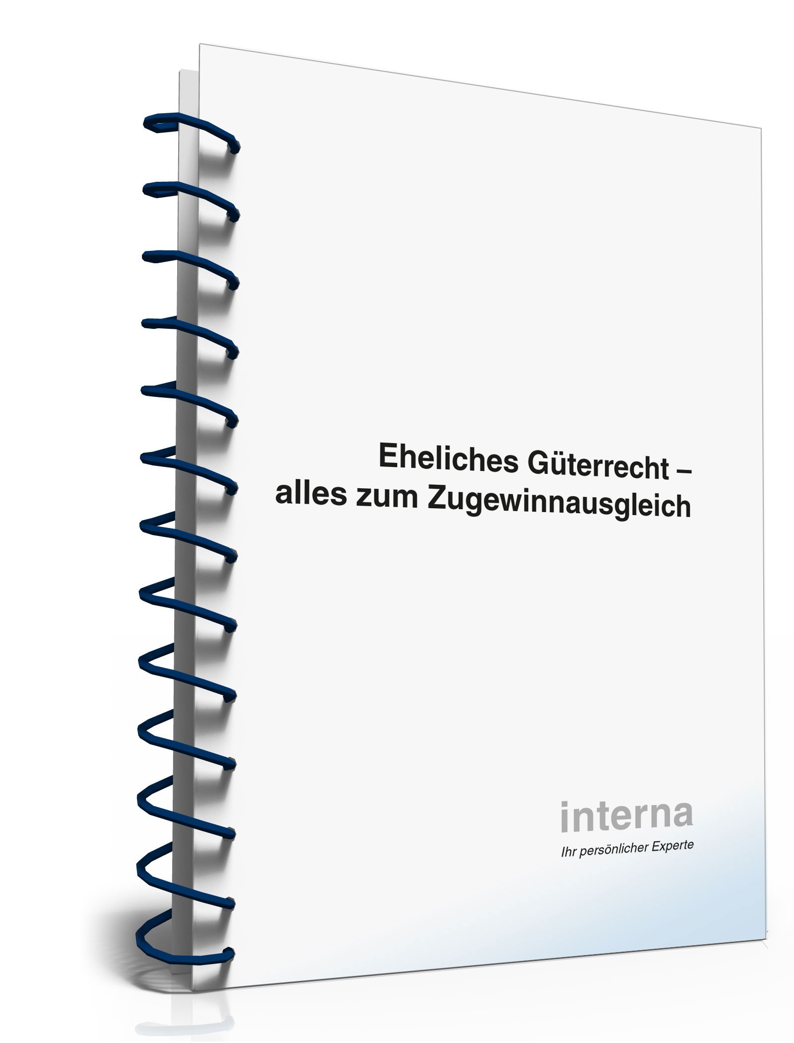 Ratgeber Eheliches Güterrecht PDF