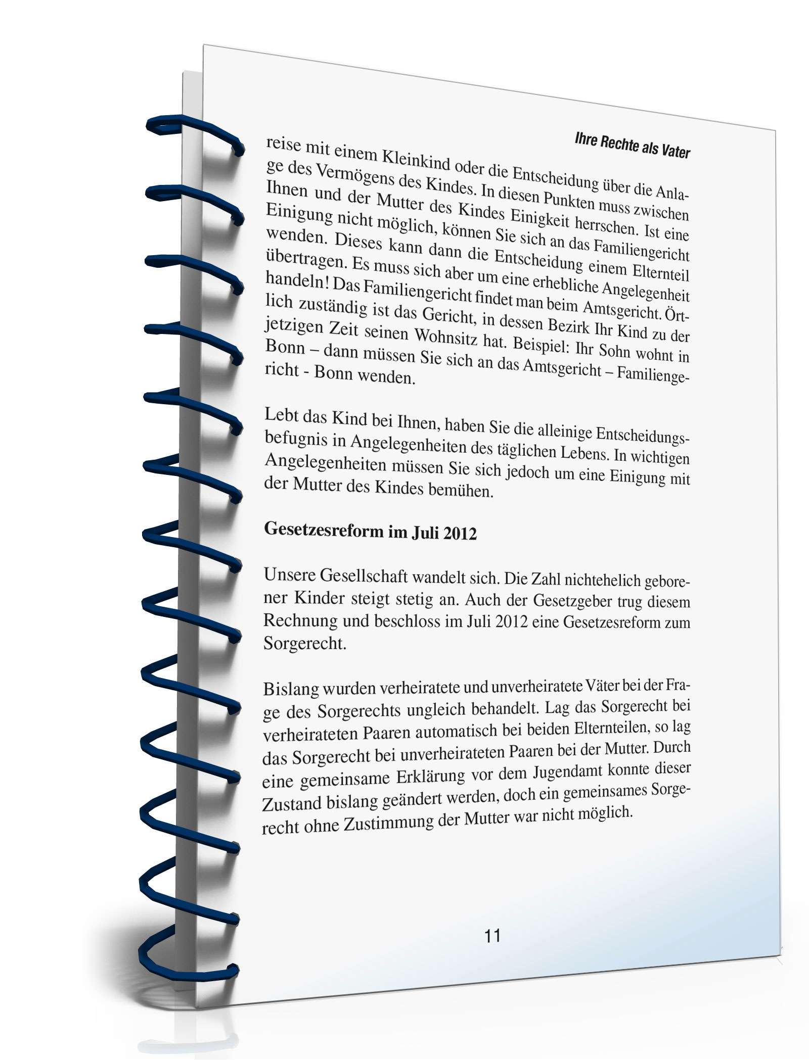 Ihre Rechte als Vater PDF. Seite: 10