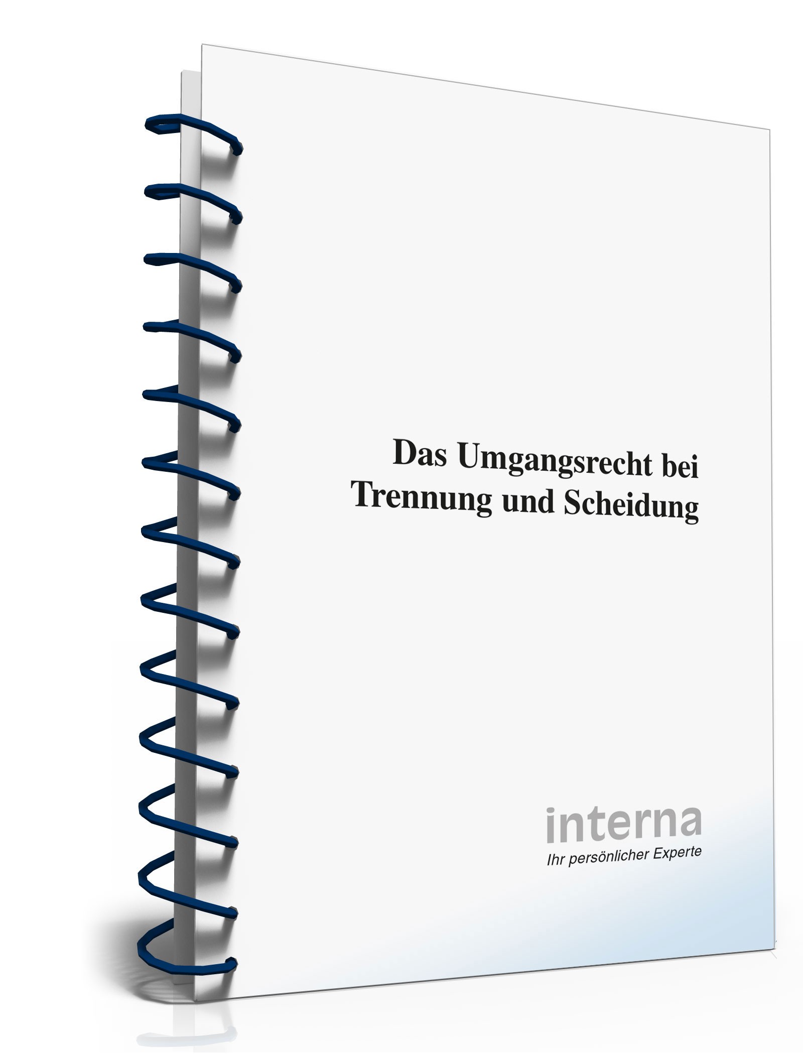 Ratgeber Umgangsrecht Trennung/Scheidung PDF