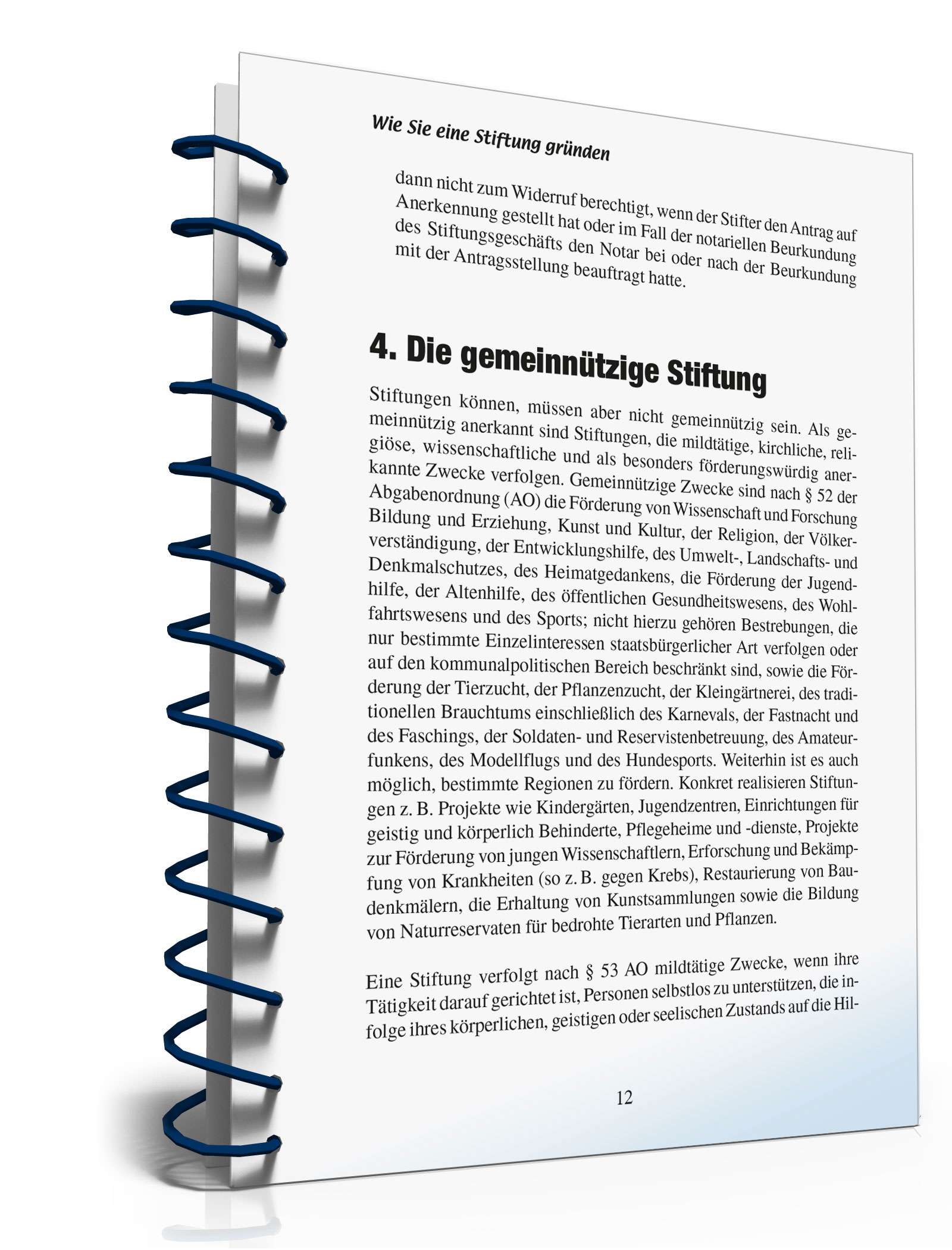 Ratgeber Gründung Stiftung  PDF. Seite: 11