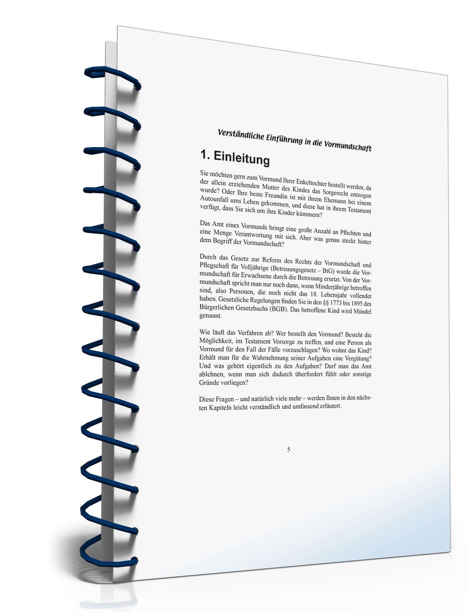 Ratgeber Vormundschaft PDF. Seite: 5