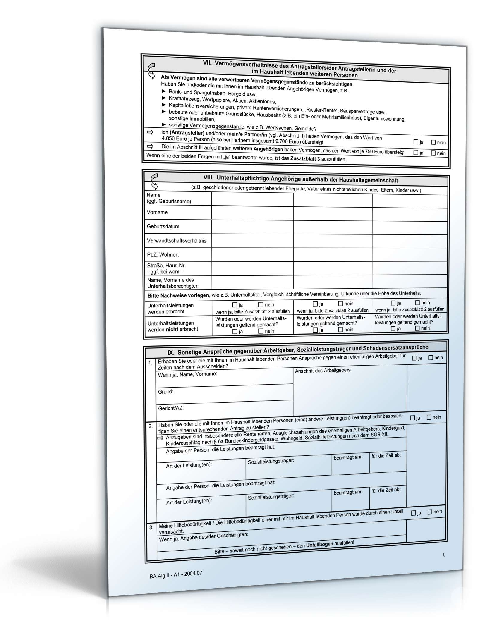 Antrag auf Bürgergeld PDF. Seite: 5