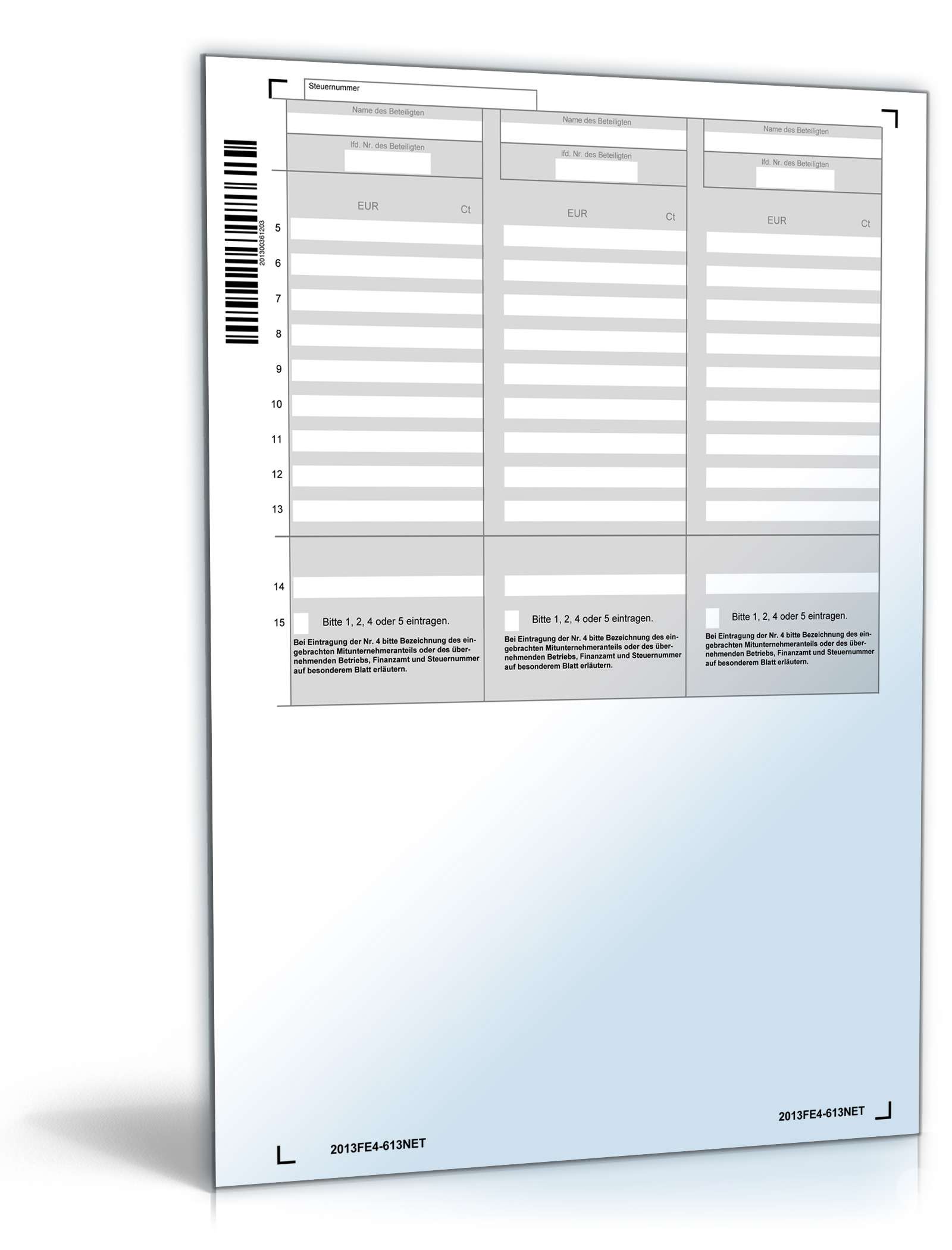 Anlage FE 4 2013 PDF. Seite: 3