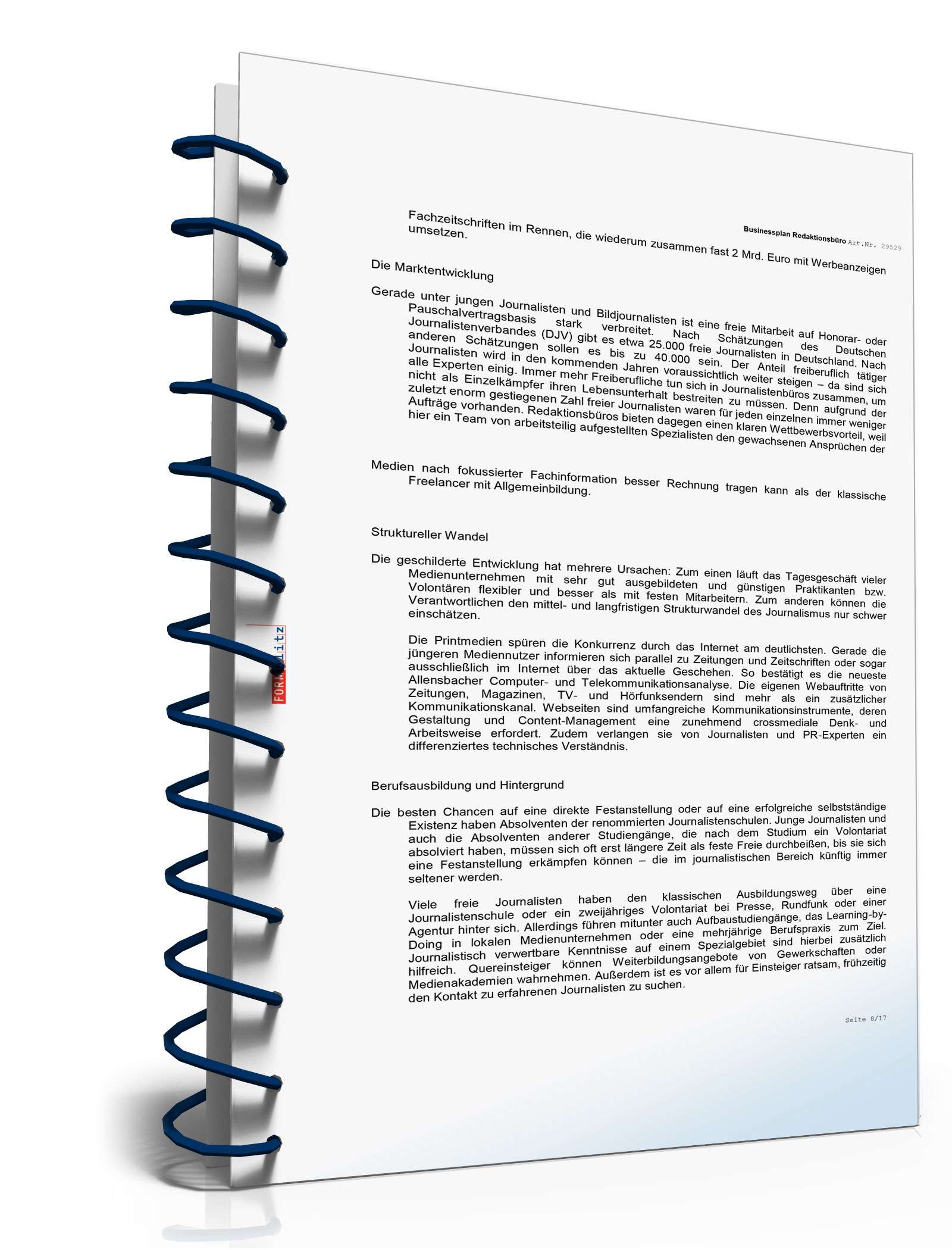 Businessplan Redaktionsbüro Excel. Seite: 7