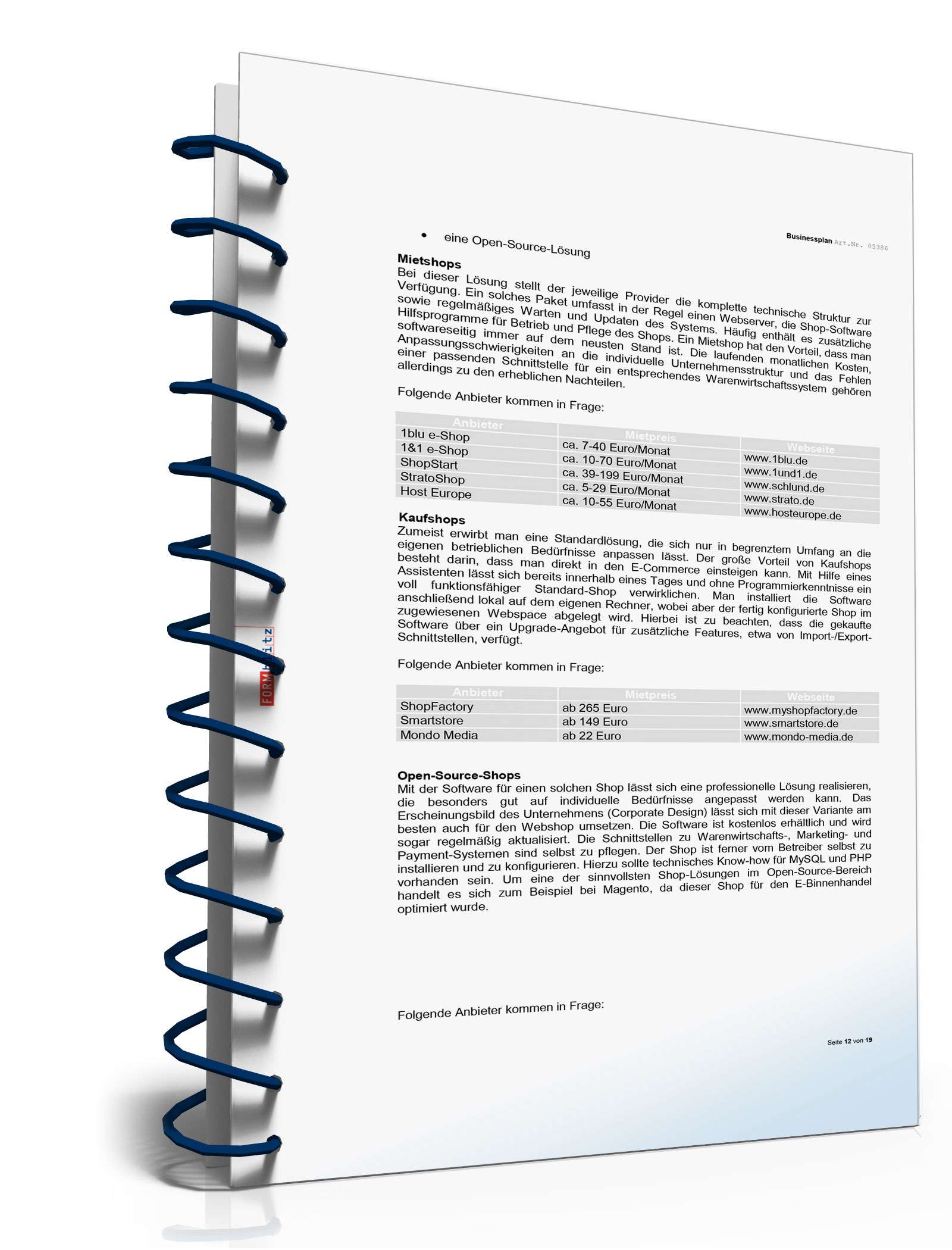 Businessplan E-Commerce Excel. Seite: 10