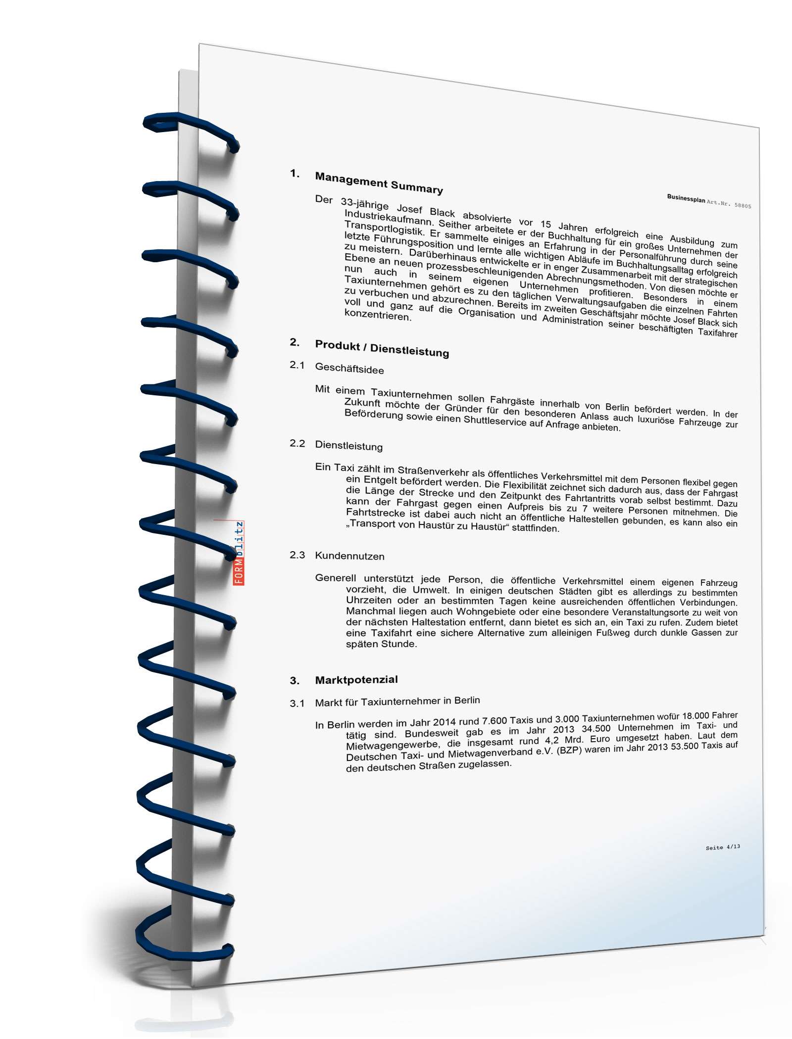 Businessplan Taxi-Unternehmer Excel. Seite: 2