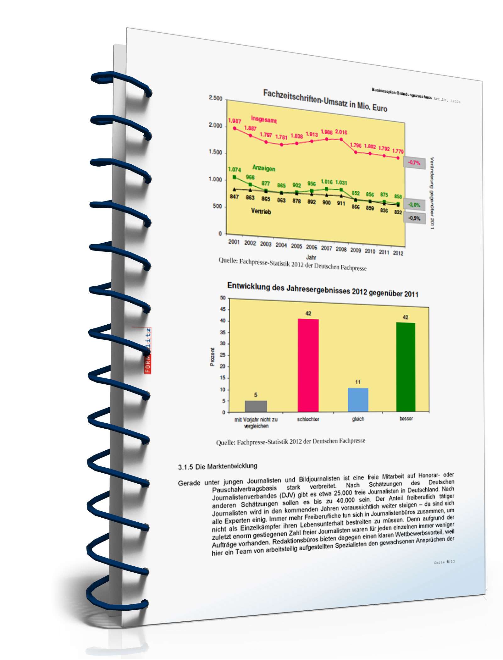 Businessplan für Freiberufler Excel. Seite: 8