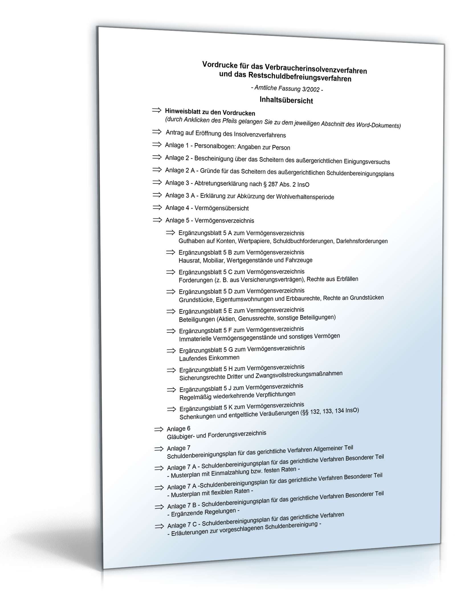 Vordrucke für das Verbraucherinsolvenzverfahren Excel