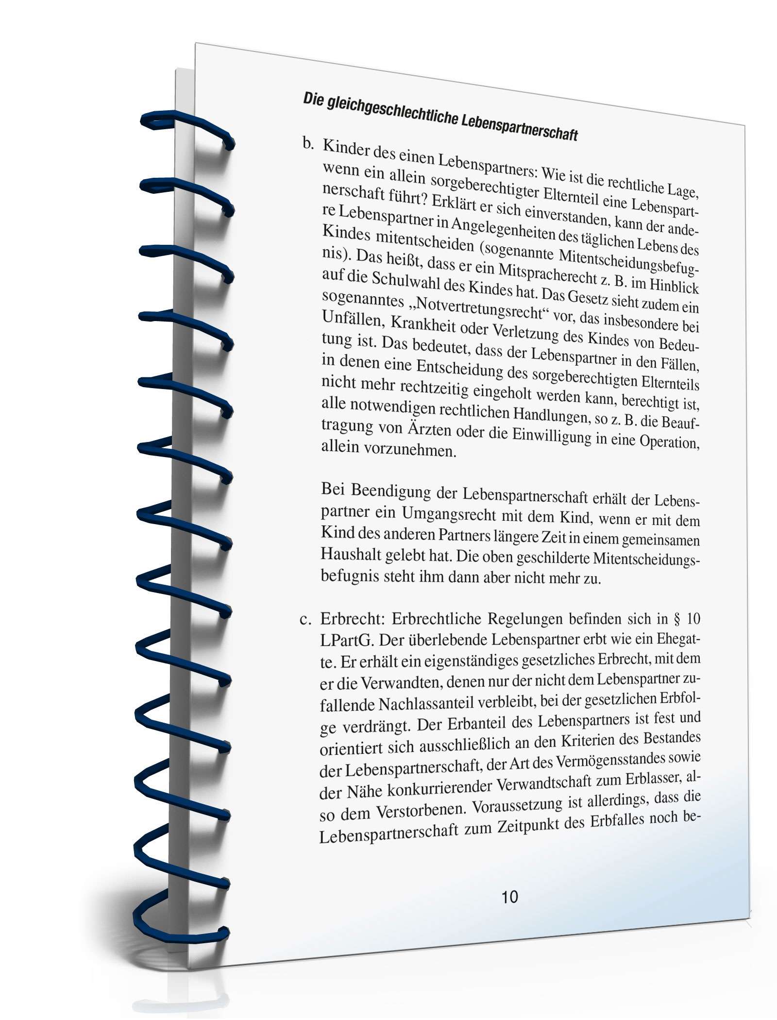 Ratgeber gleichgeschlechtliche Lebenspartnerschaft PDF. Seite: 10