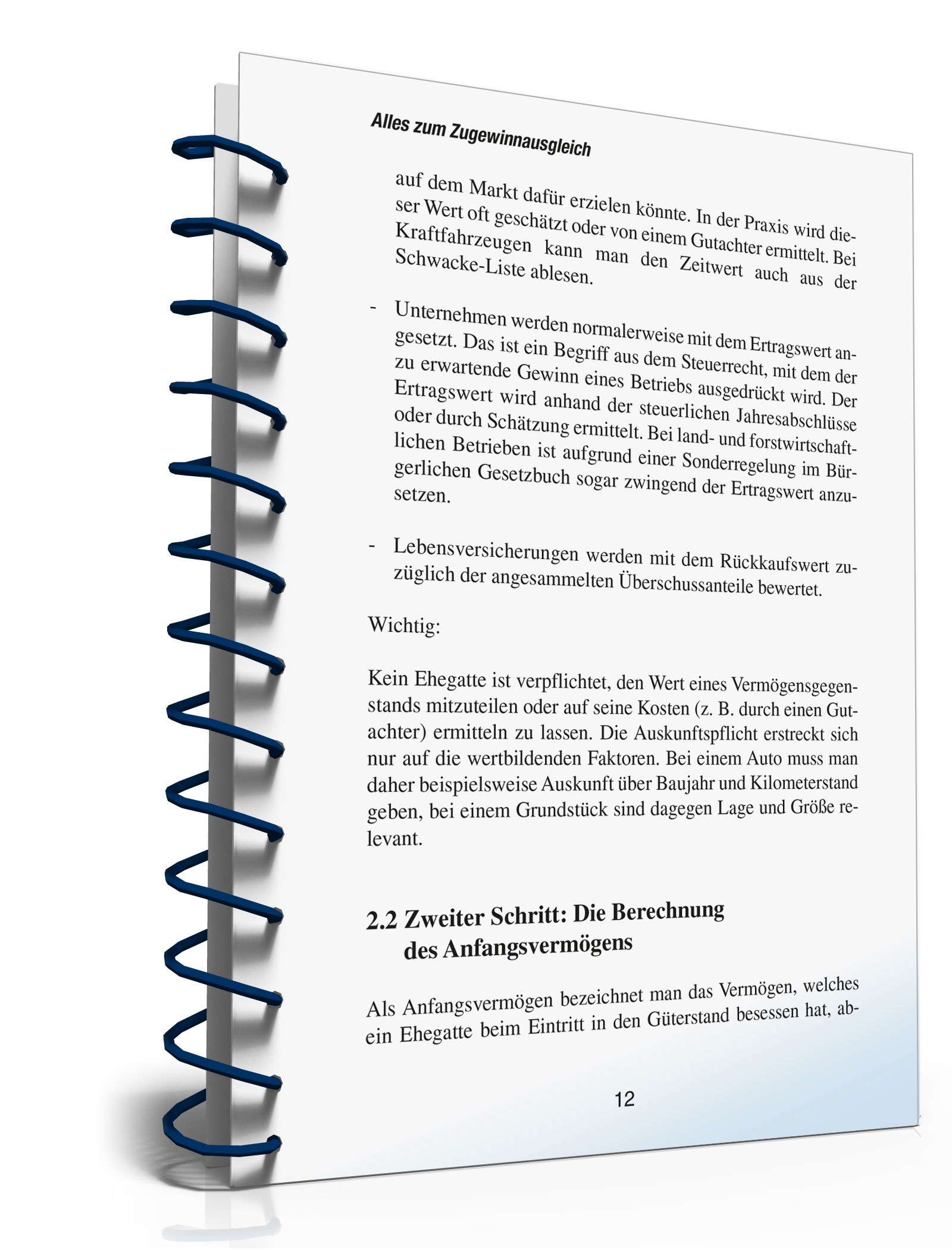 Ratgeber Eheliches Güterrecht PDF. Seite: 11