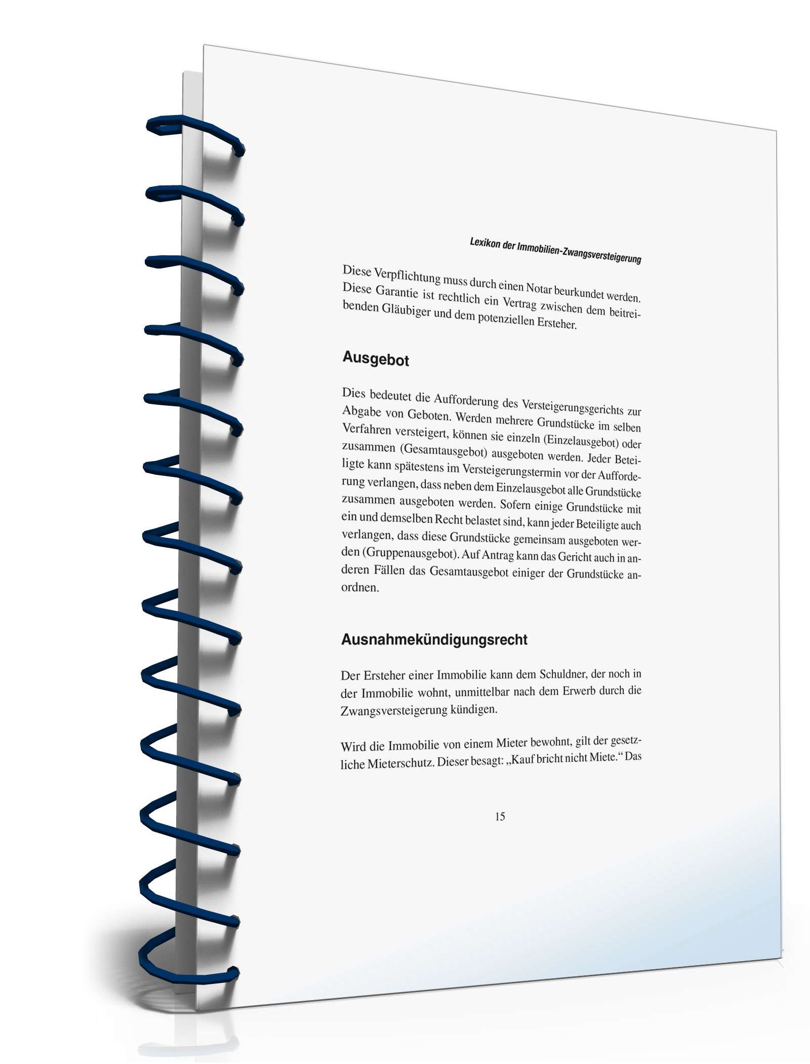 Zwangsversteigerung einer Immobilie PDF. Seite: 13