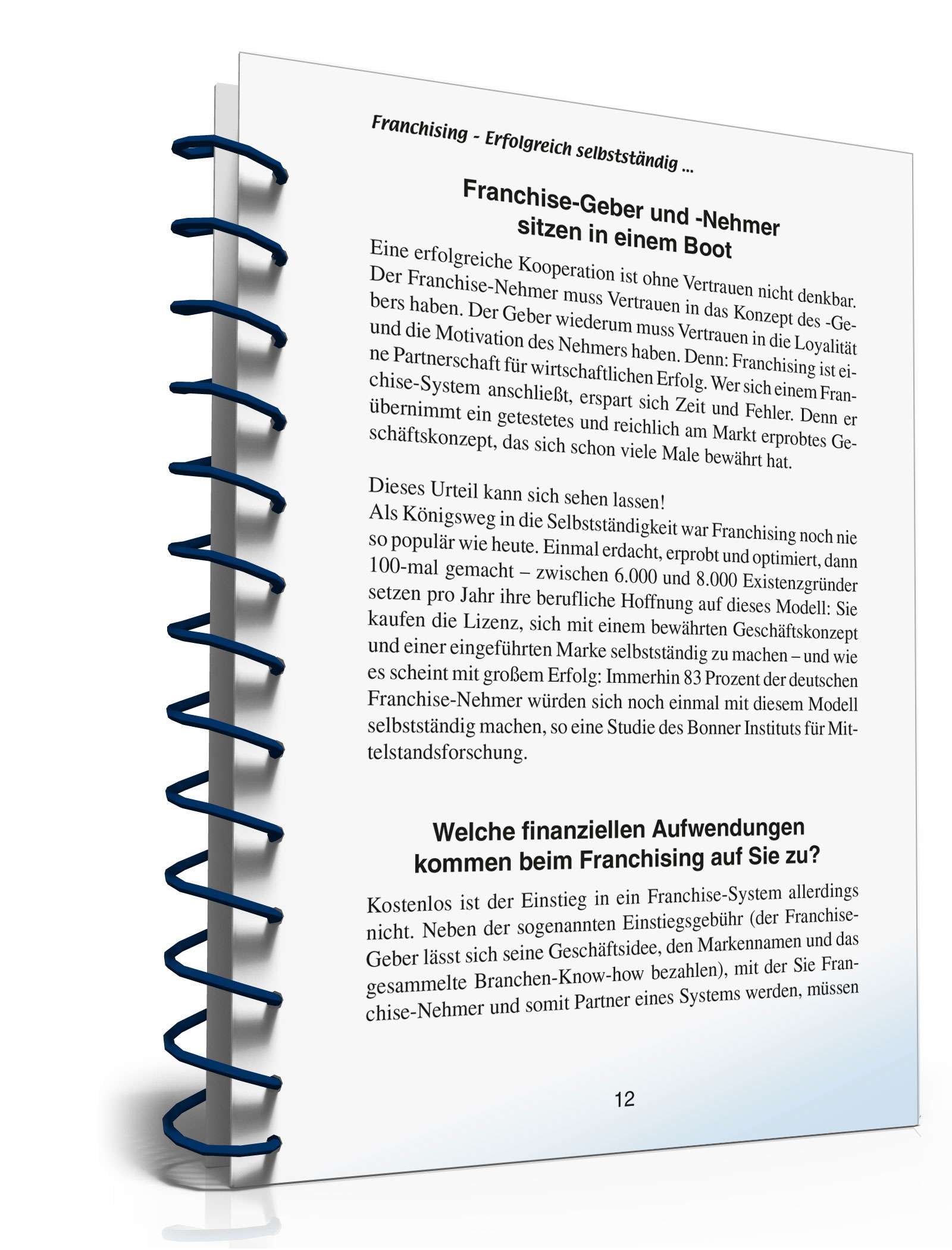Franchising in der Gastronomie PDF. Seite: 12