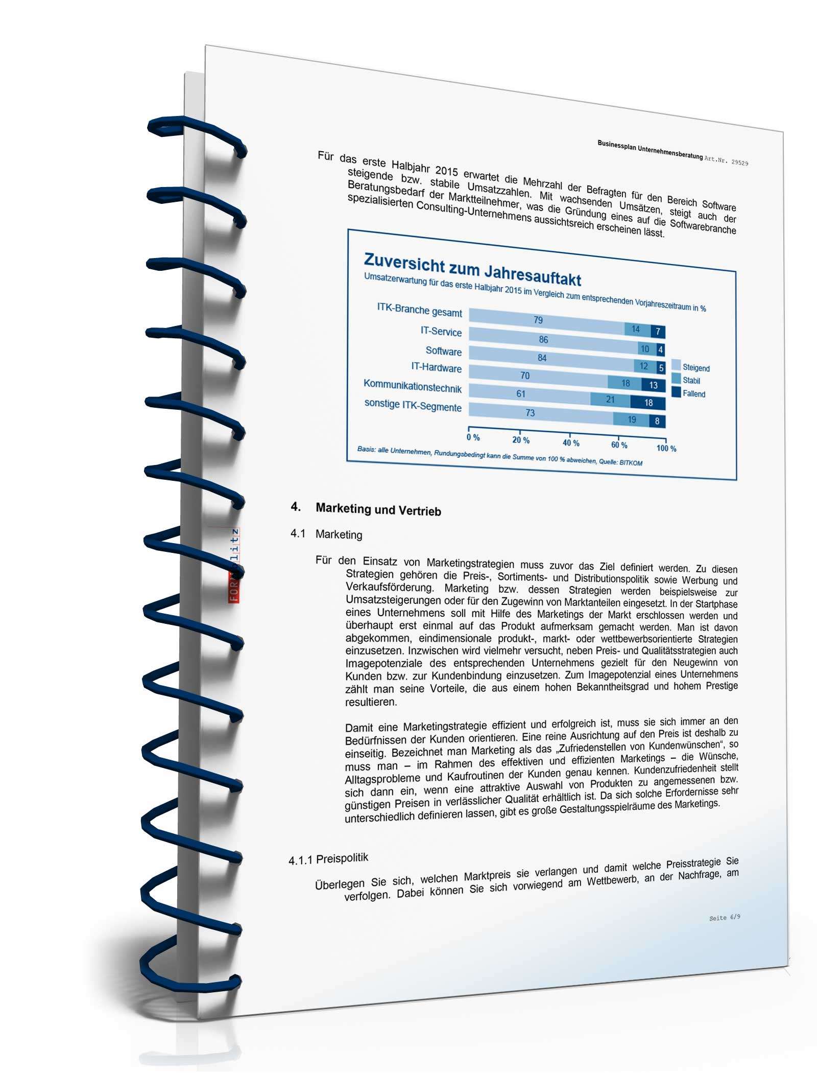 Businessplan Unternehmensberatung Excel. Seite: 11