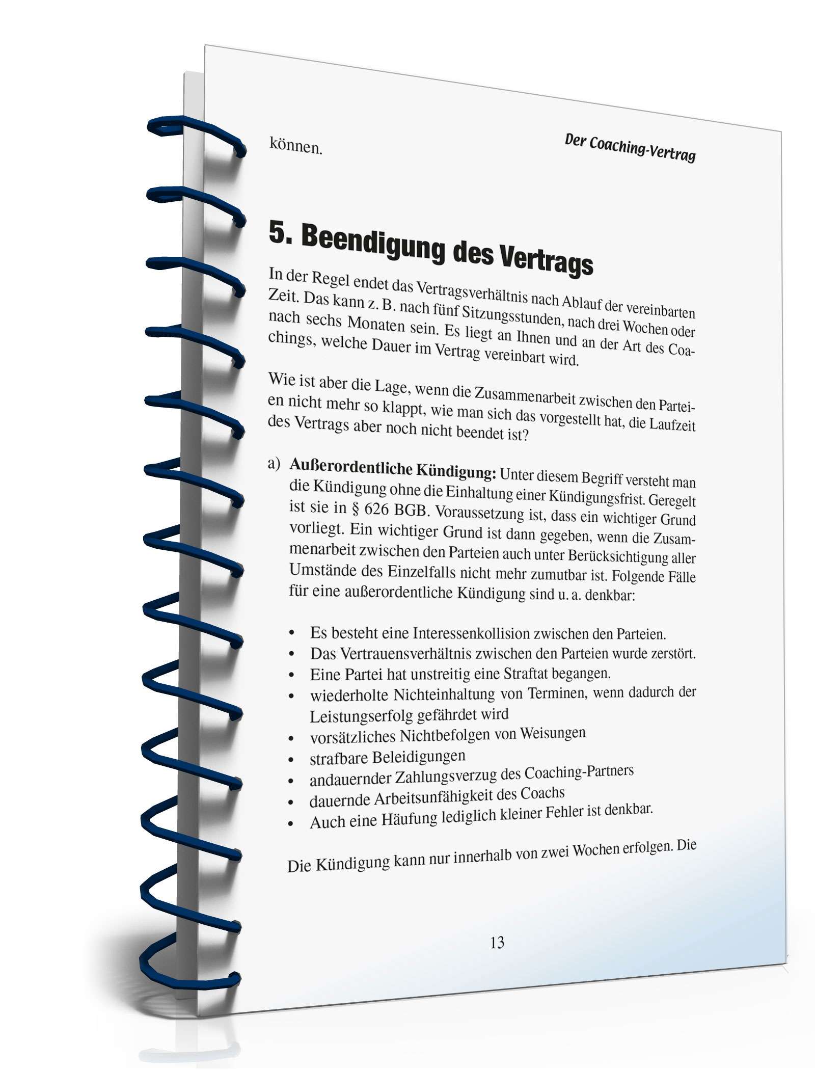Coaching-Vertrag Ratgeber PDF. Seite: 13
