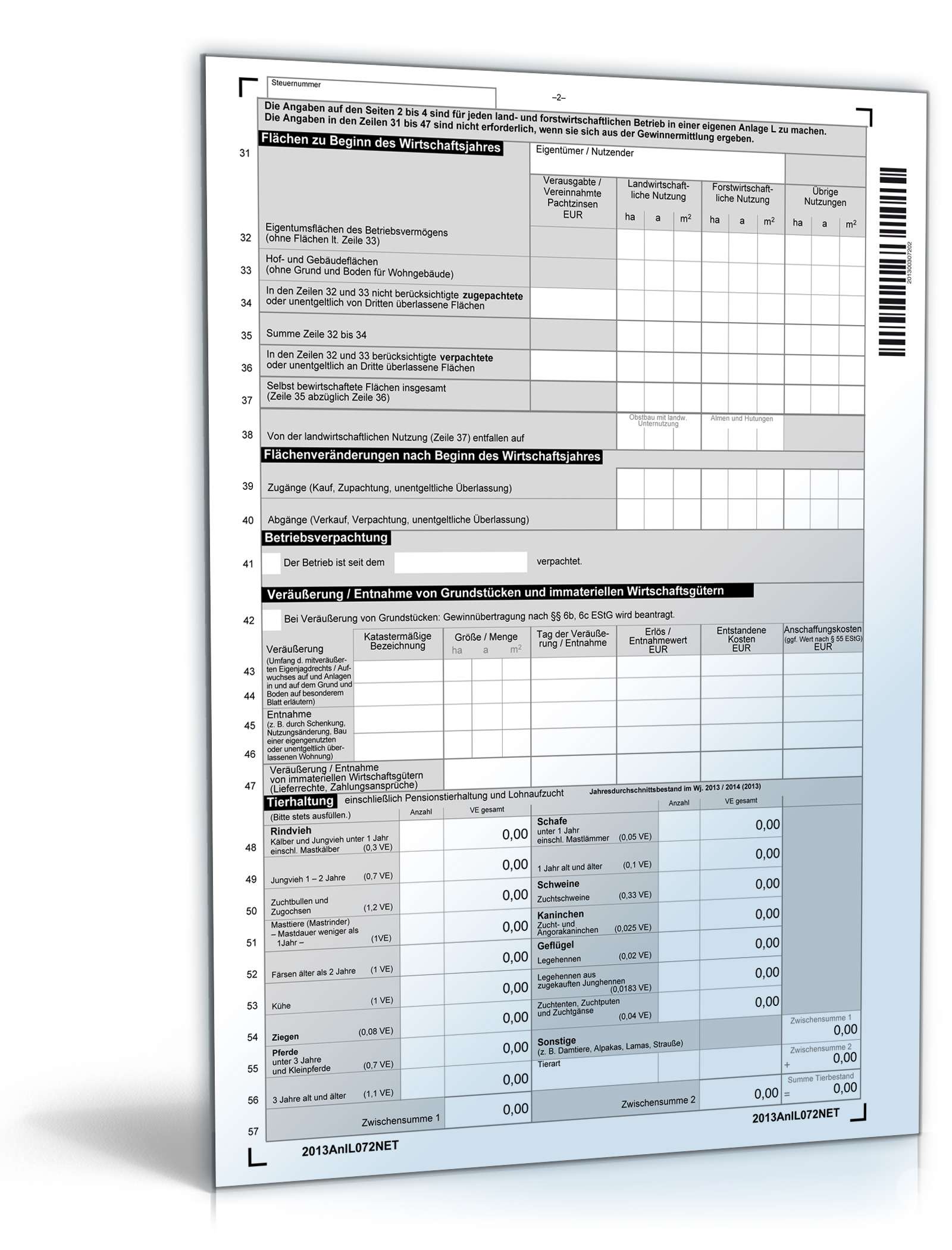 Anlage L 2013 PDF. Seite: 2