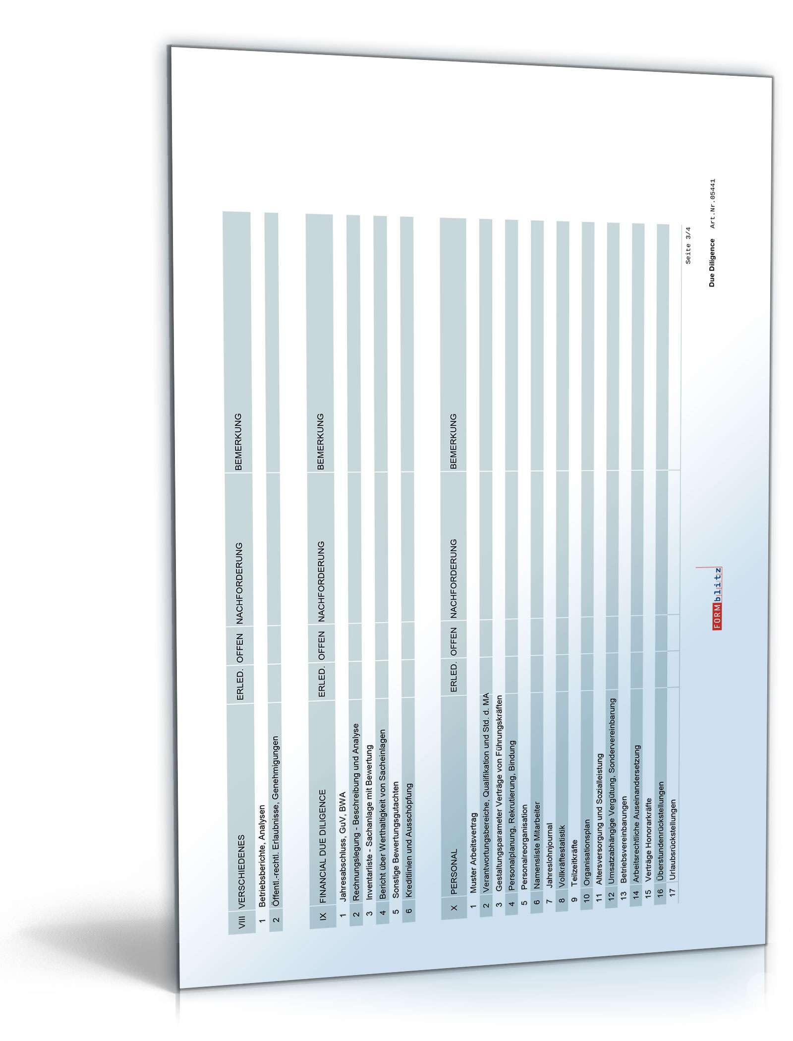 Due Diligence-Analyse Excel. Seite: 3