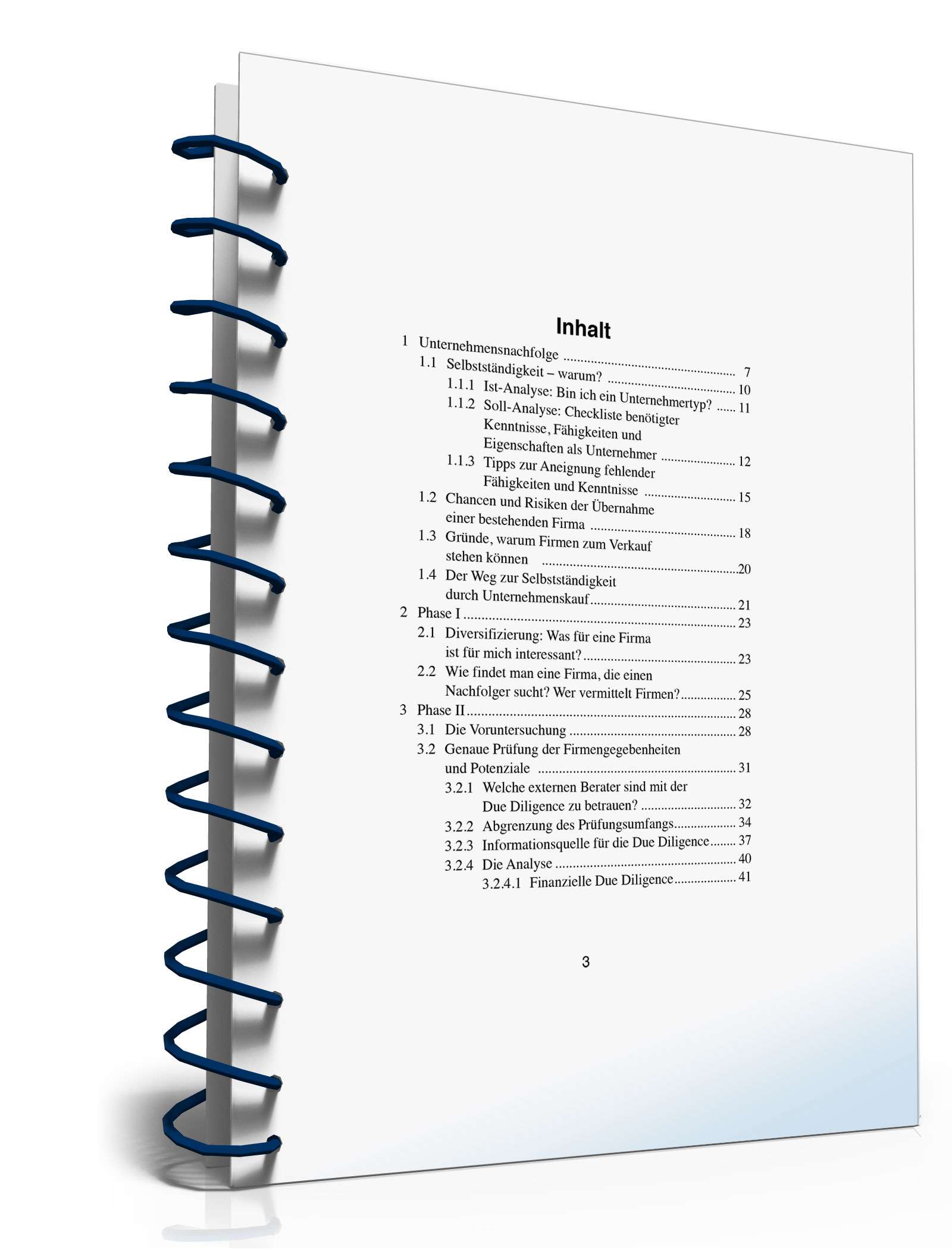 Unternehmensnachfolge PDF. Seite: 2