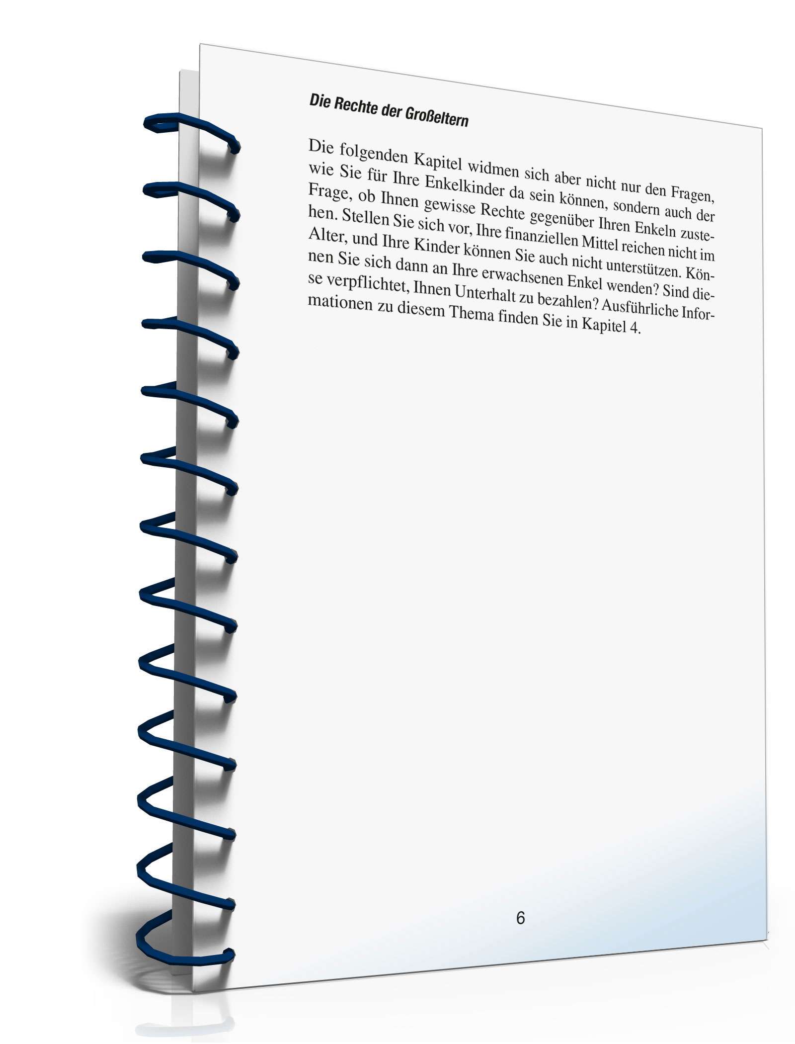 Ratgeber Recht Großeltern PDF. Seite: 5