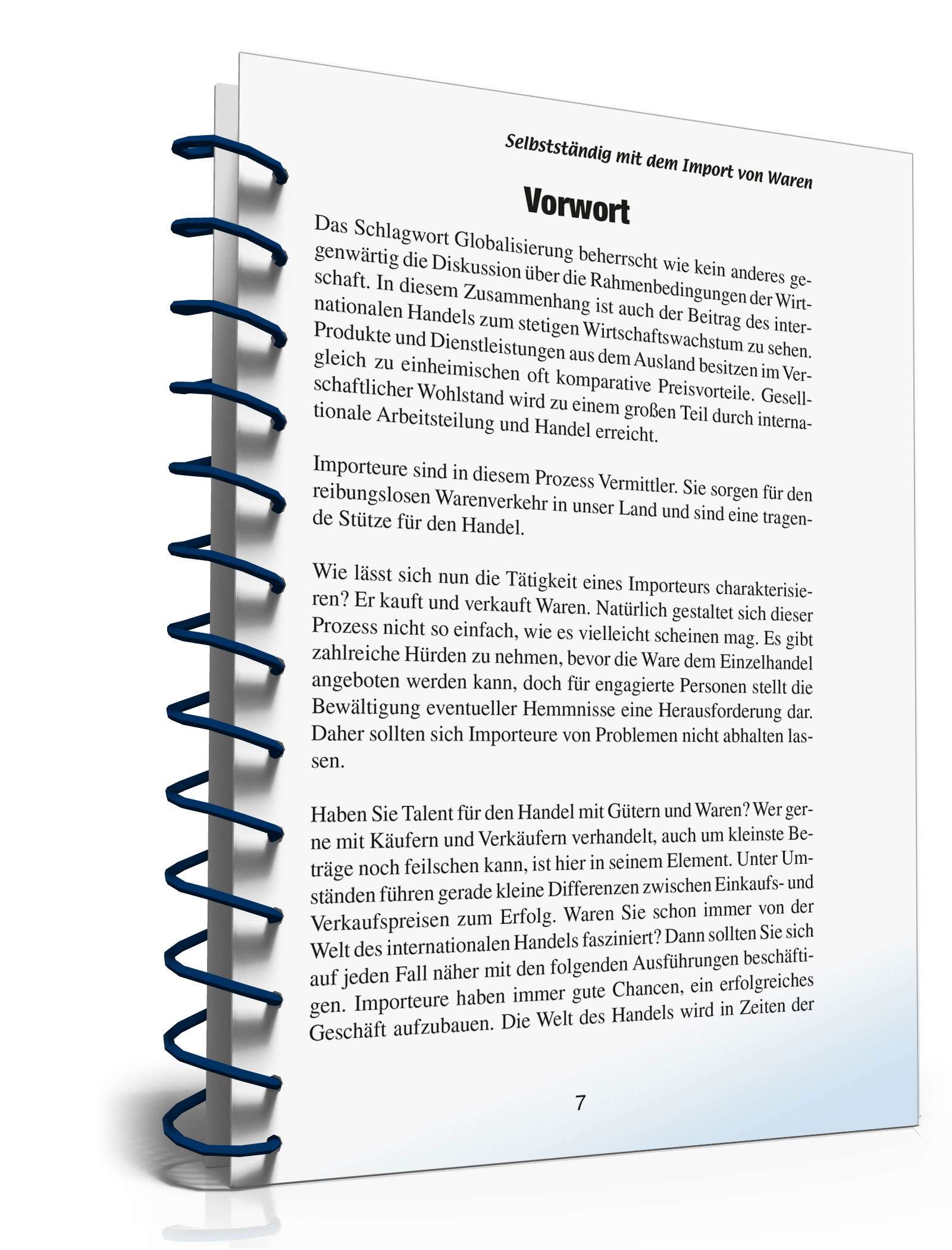 Selbstständig mit Warenimport PDF. Seite: 6
