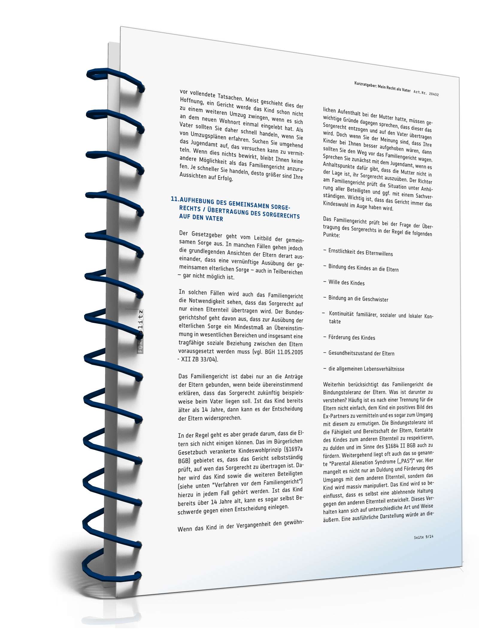 Mein Recht als Vater PDF. Seite: 9