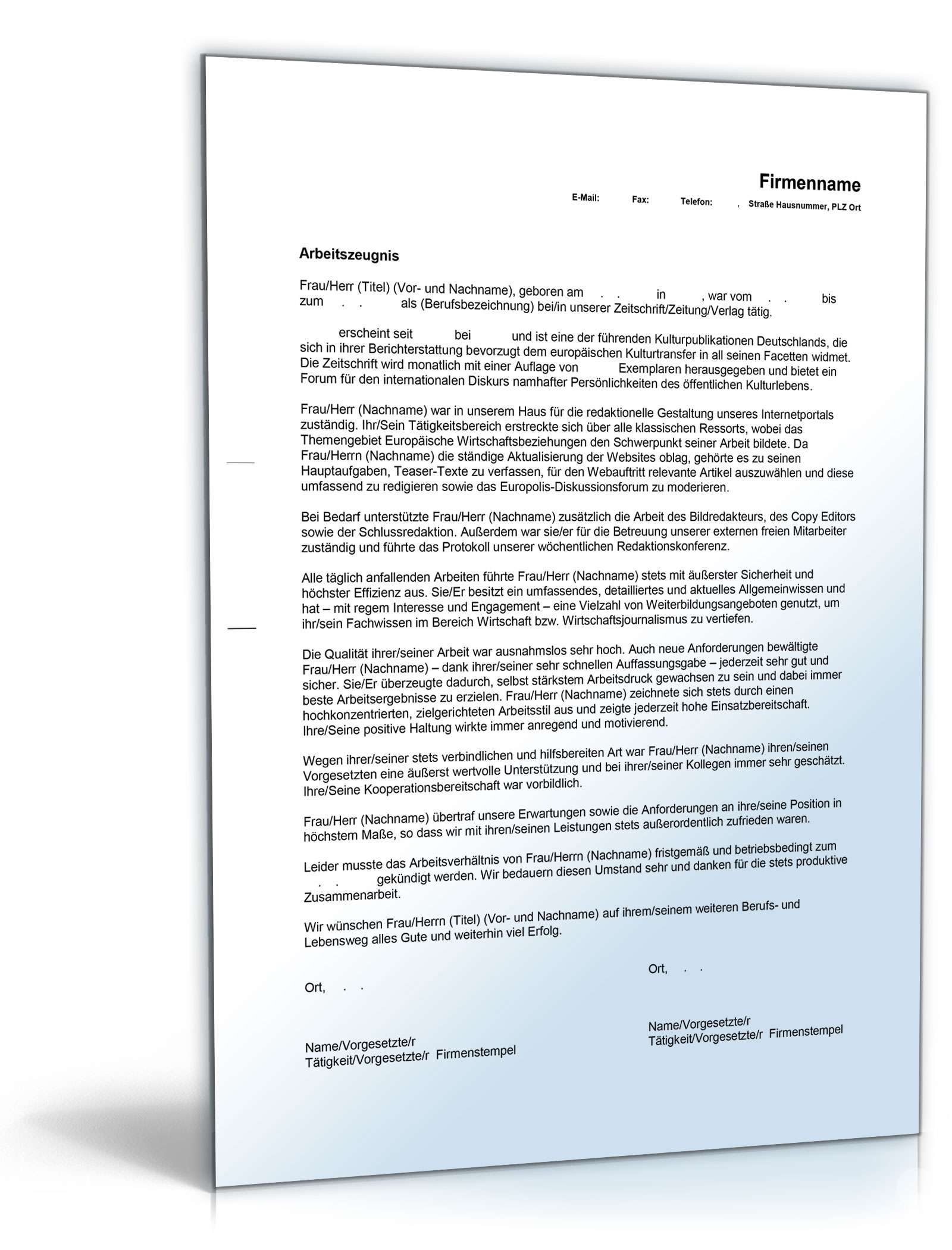 Arbeitszeugnis Online-Redakteur Excel. Seite: 2