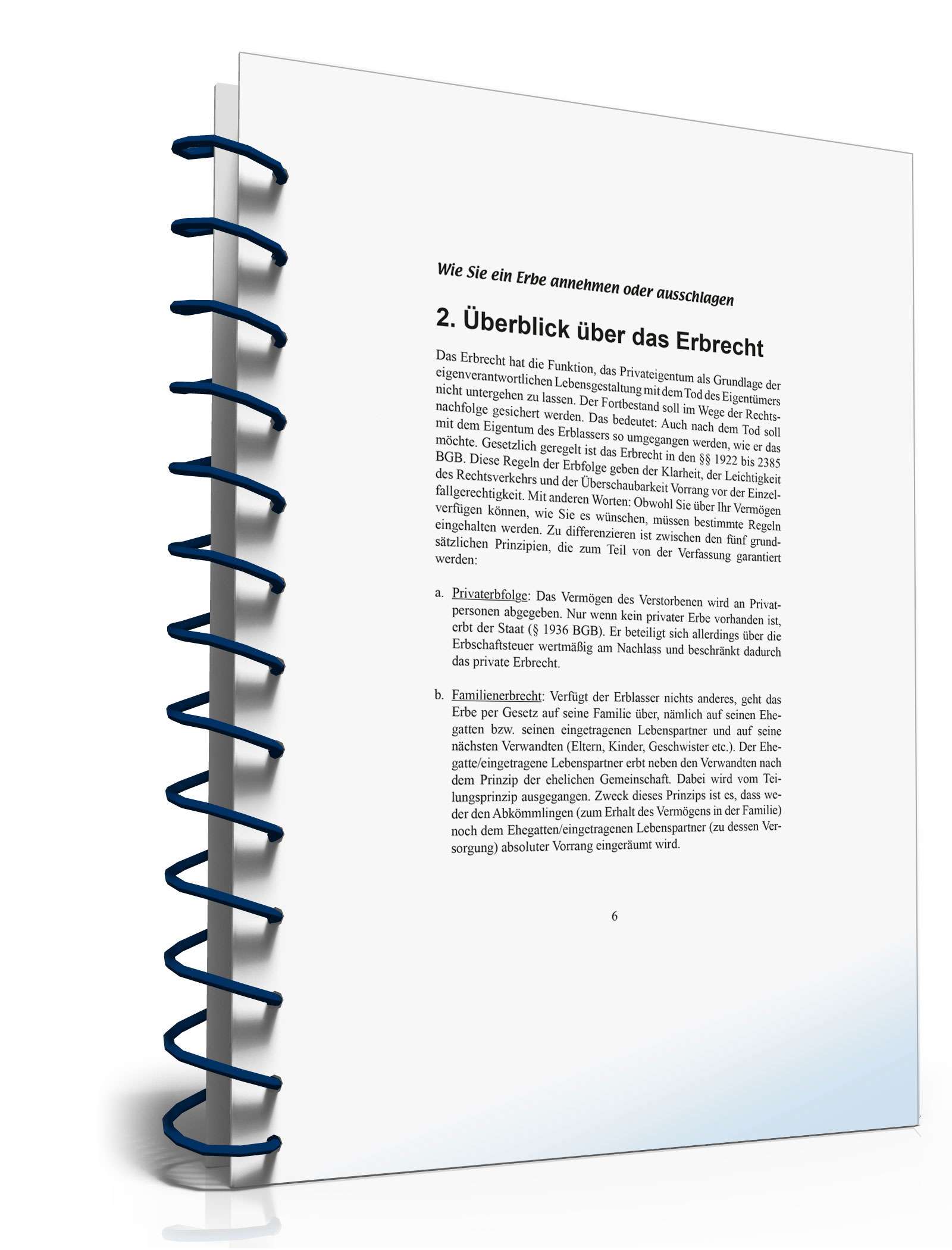 Ratgeber Annehmen/Ausschlagen Erbe  PDF. Seite: 6