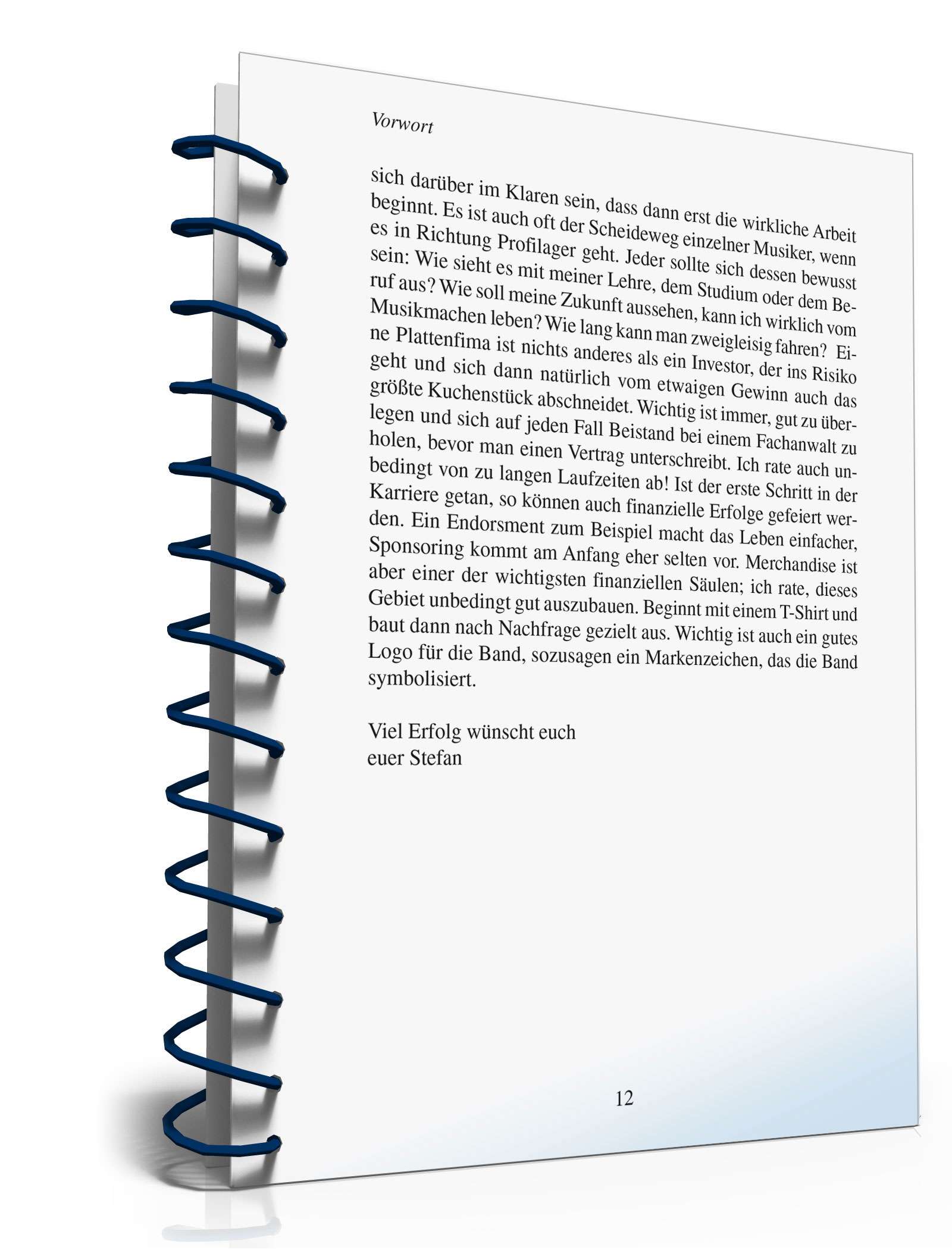 Ratgeber: Musikmanagement in der Praxis PDF. Seite: 2