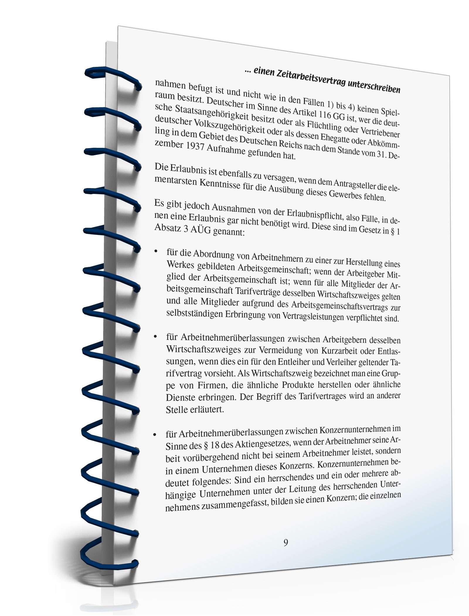 Abschluss Zeitarbeitsvertrag  PDF. Seite: 8