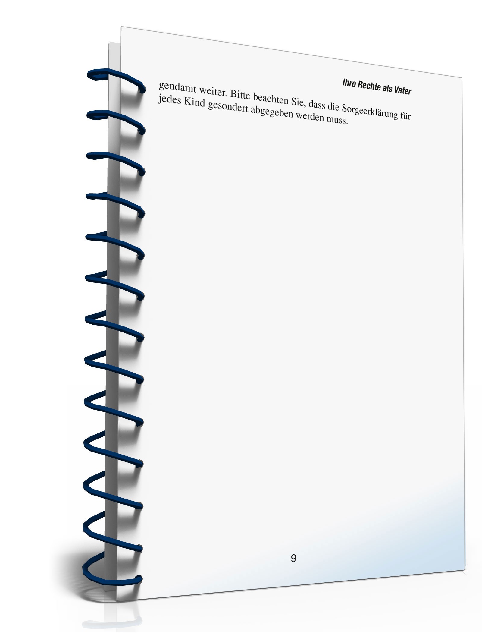 Ihre Rechte als Vater PDF. Seite: 8