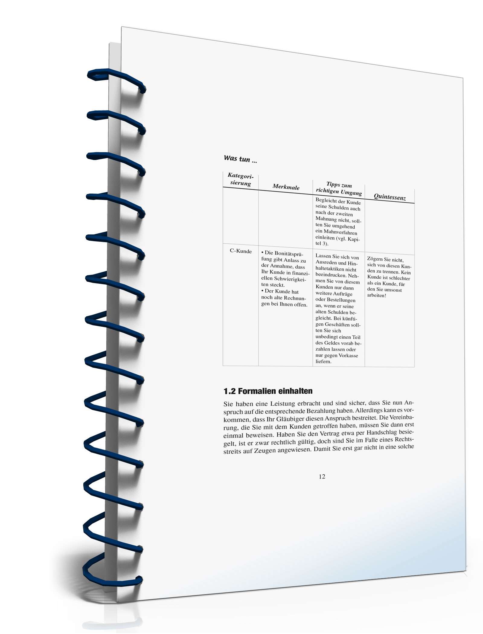 Ratgeber zahlungsunwilliger Kunde PDF. Seite: 12