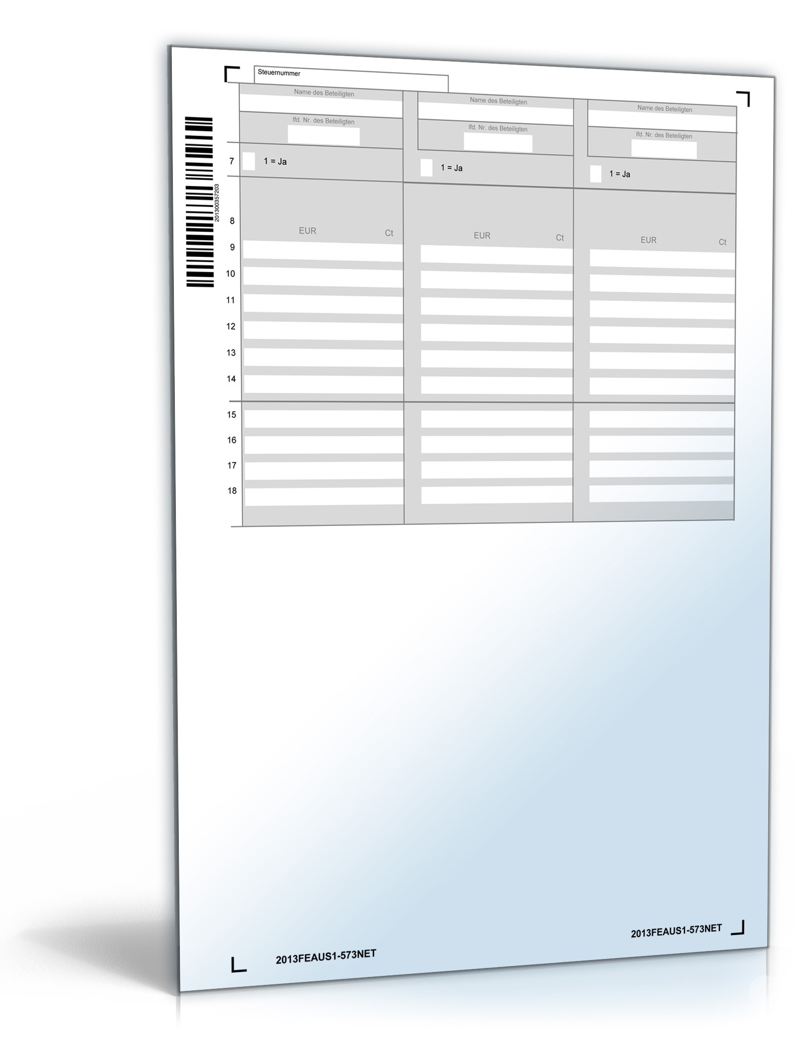 Anlage FE-AUS1 2013 PDF. Seite: 3