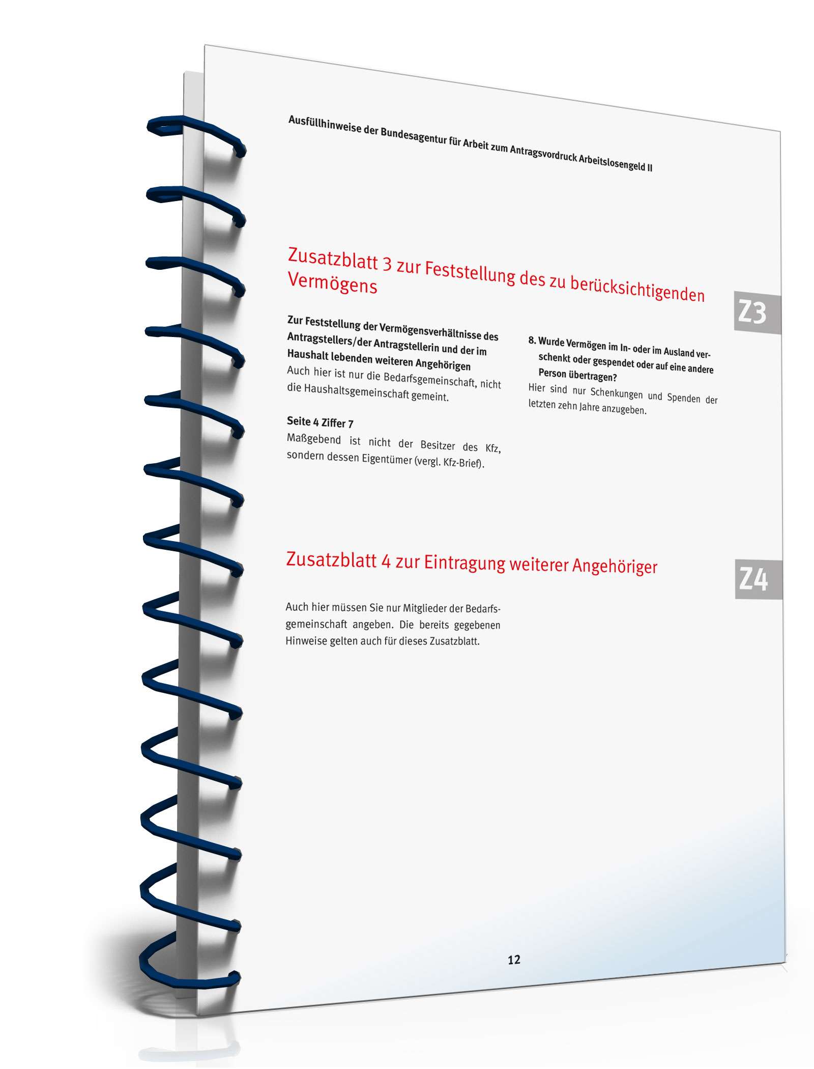 Ausfüllhinweise Antrag Bürgergeld PDF. Seite: 12