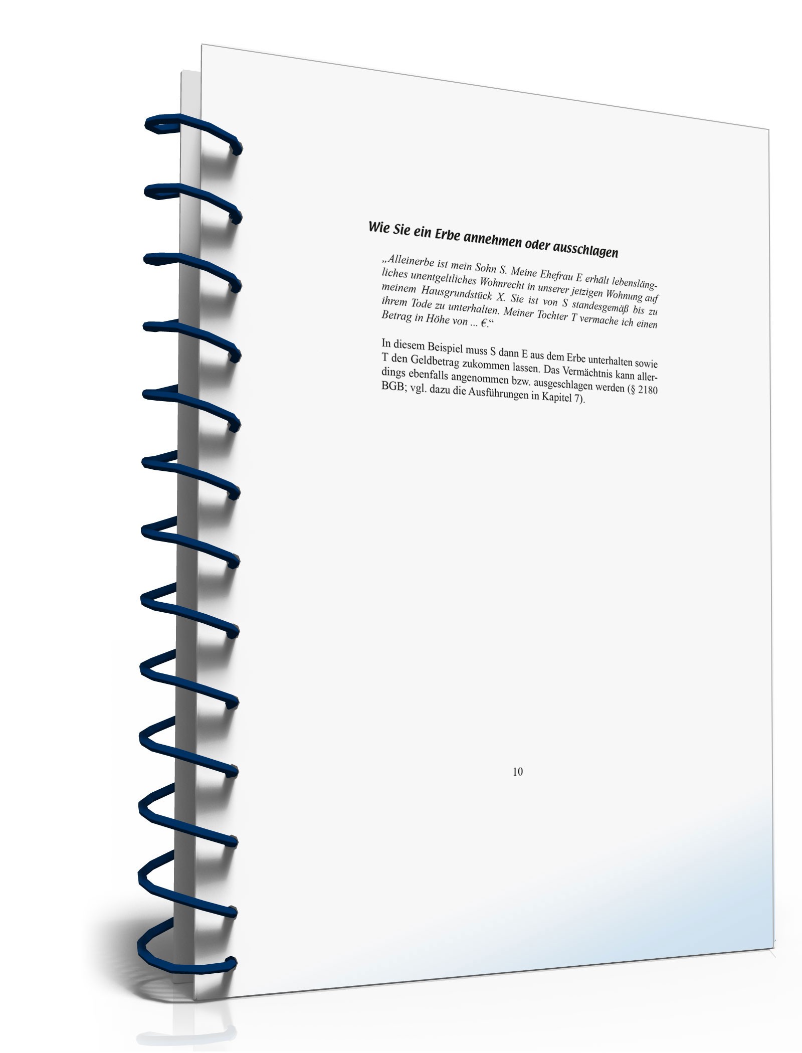 Ratgeber Annehmen/Ausschlagen Erbe  PDF. Seite: 10