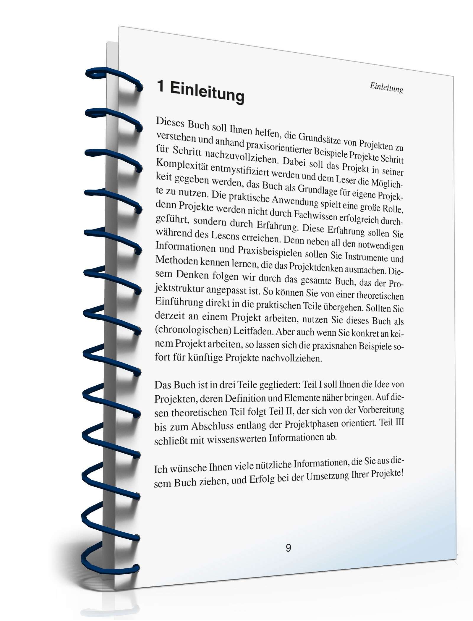 Projektmanagement in der Praxis PDF. Seite: 8